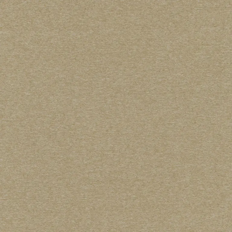 Coriander 33