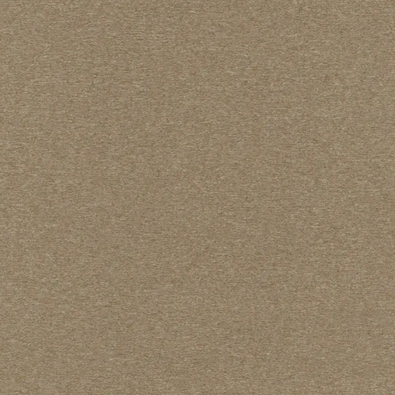Fossil 08