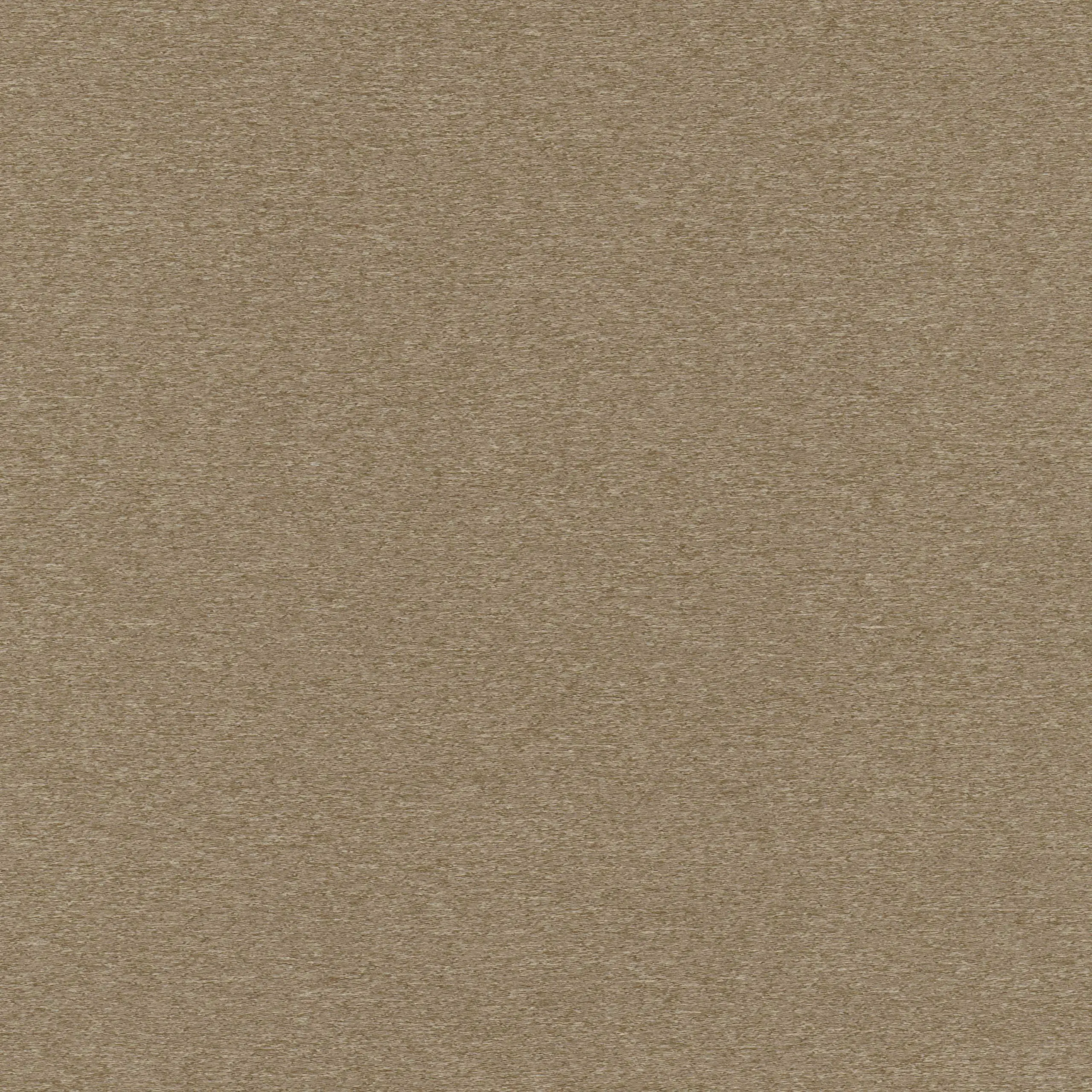 Fossil 08 | Stromboli
