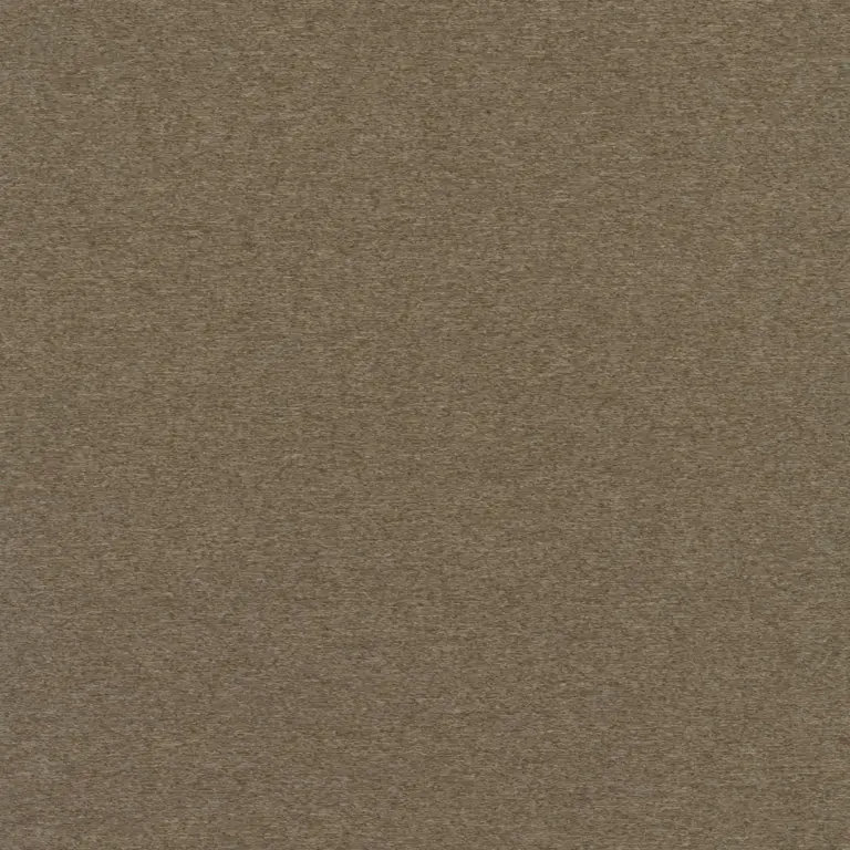 Shitake 09