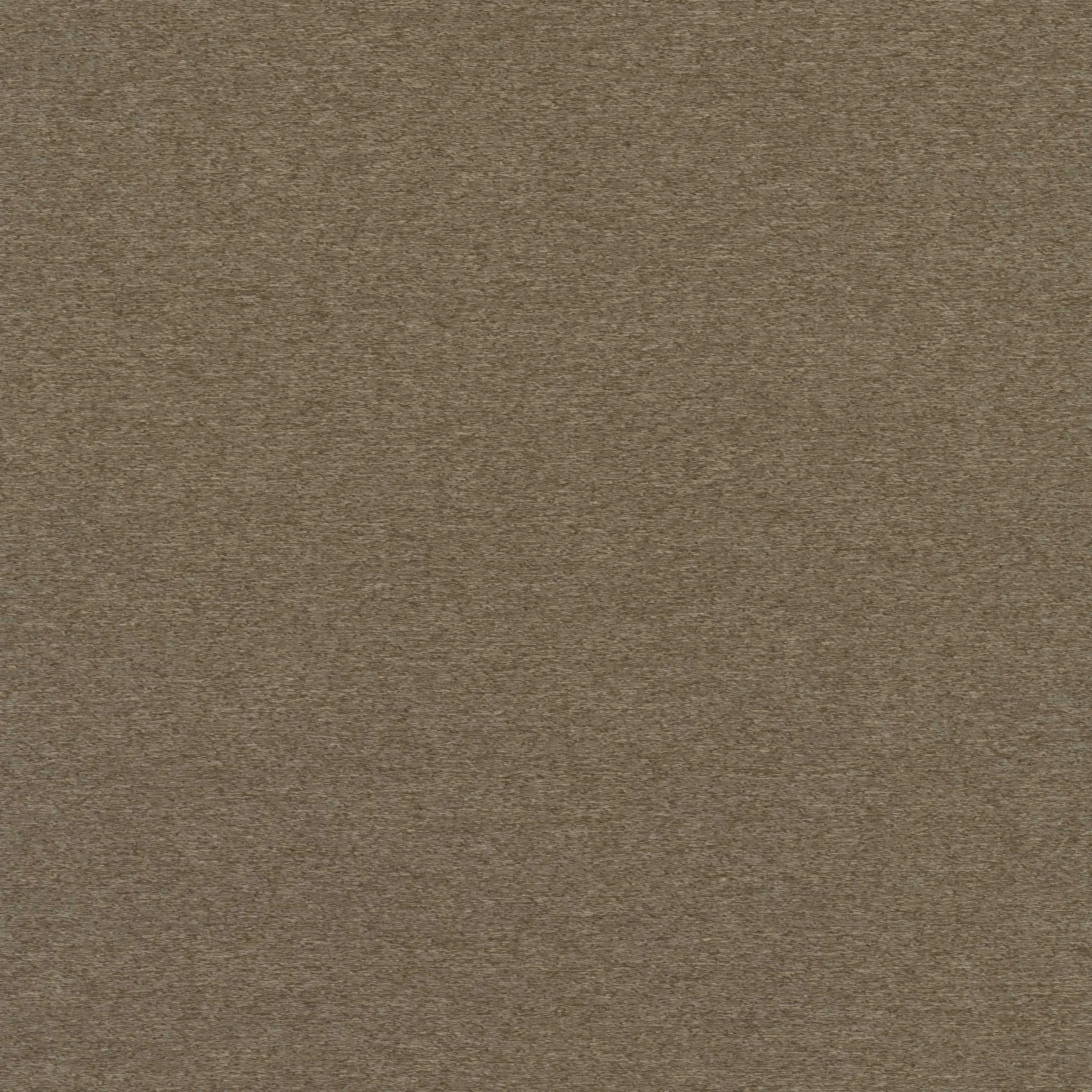 Shitake 09 | Stromboli
