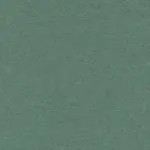 Silver Pine 41 | Stromboli