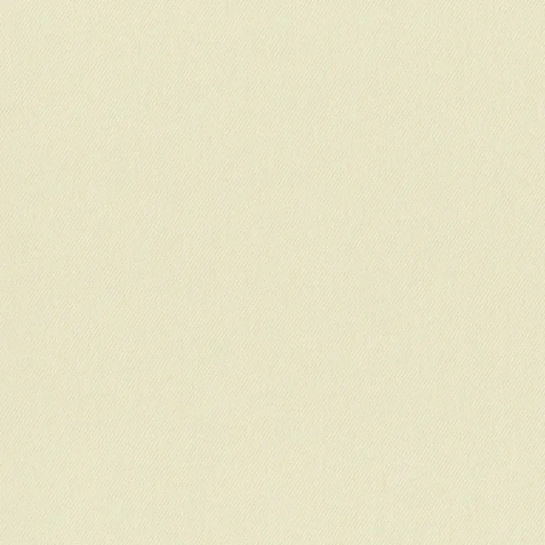 Birch 17