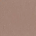 Cognac 23 | Tacora