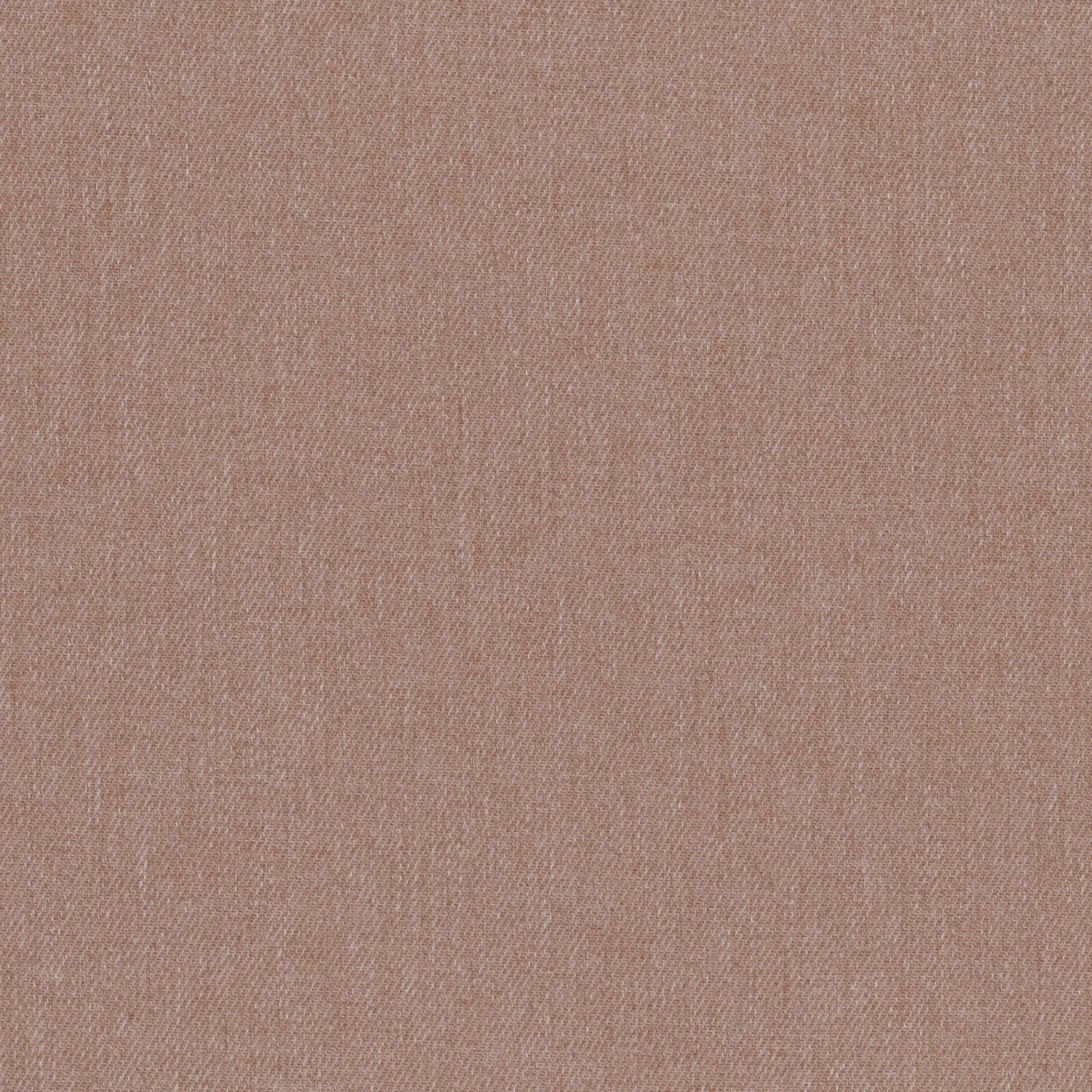Cognac 23 | Tacora