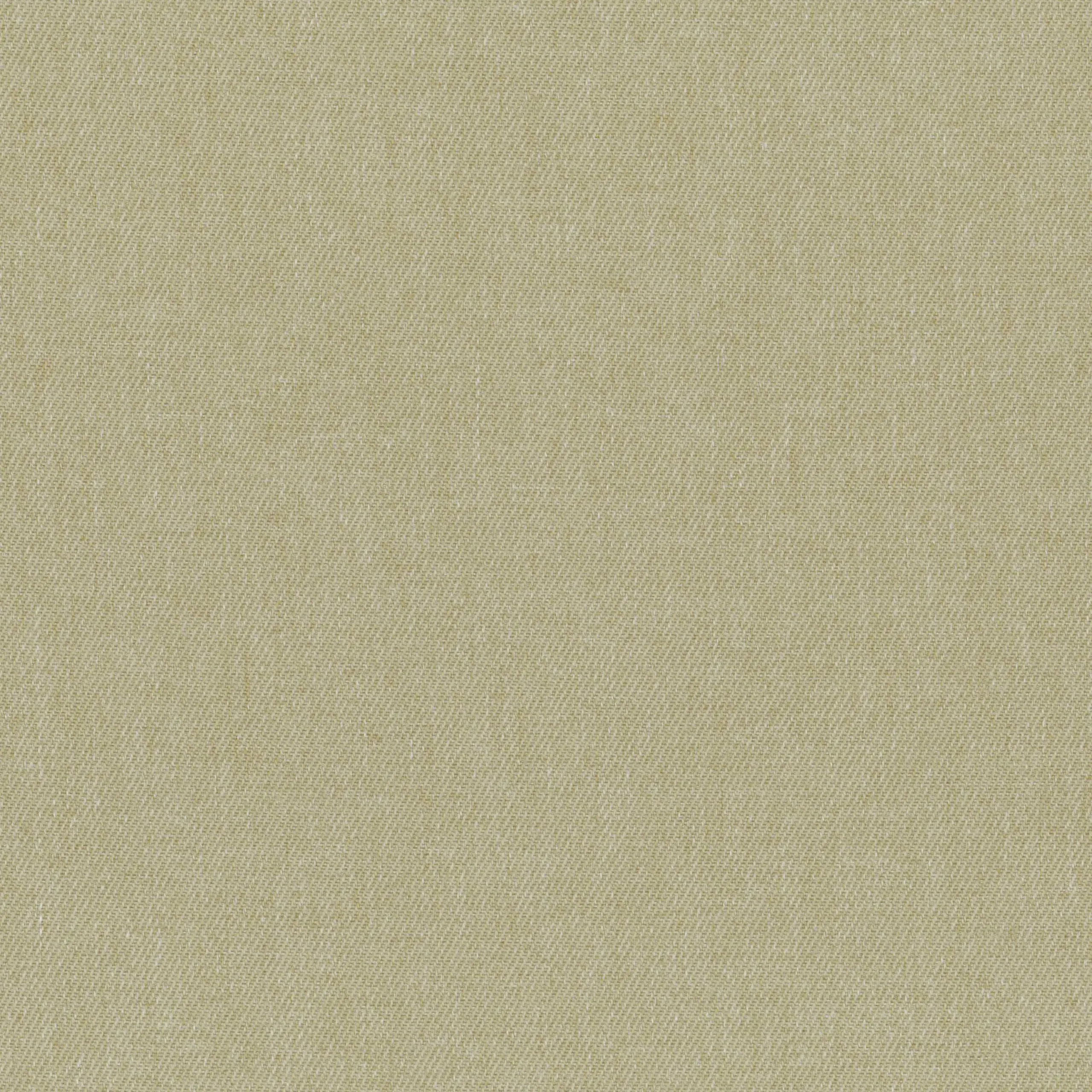 Eucalyptus 32 | Tacora