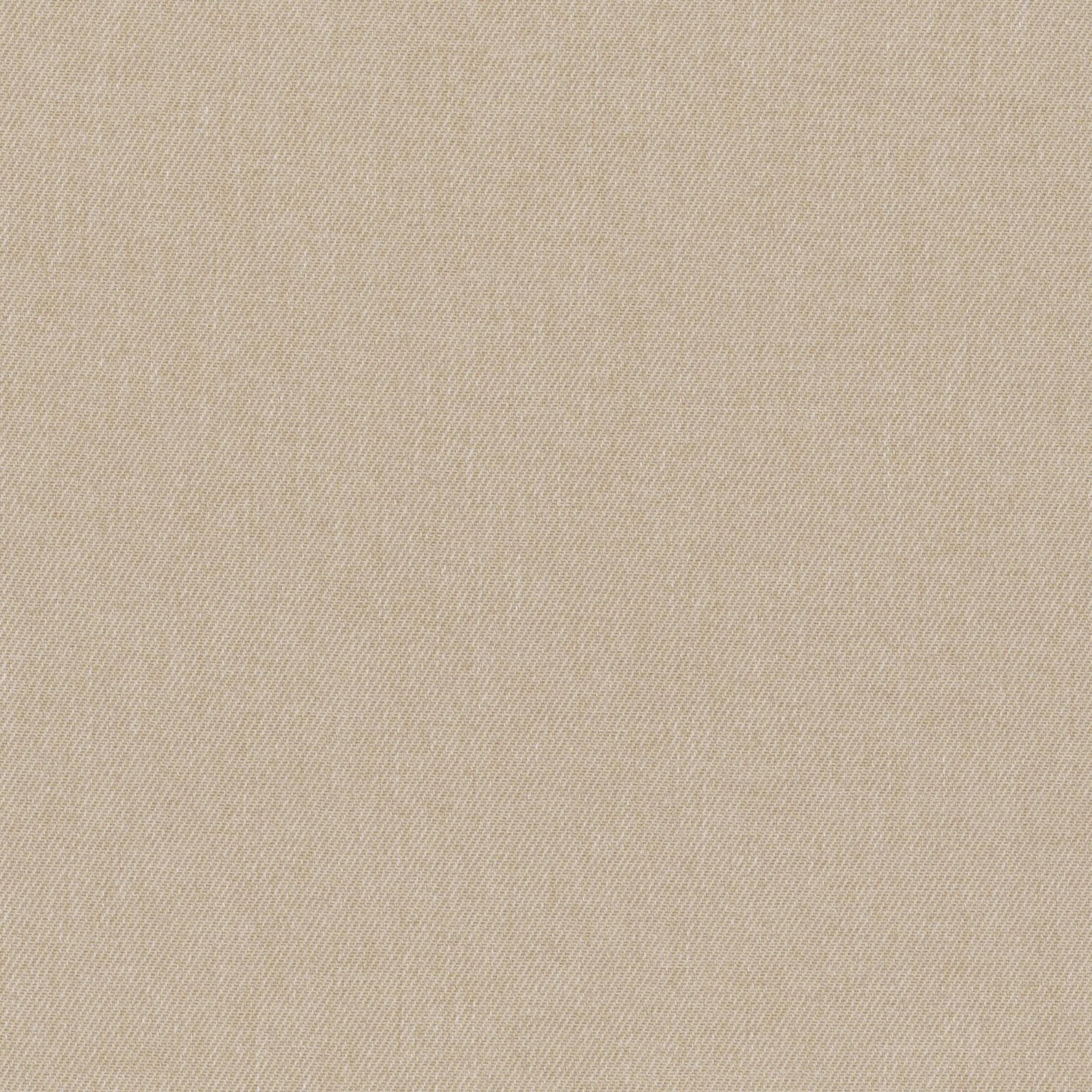 Goat 05 | Tacora