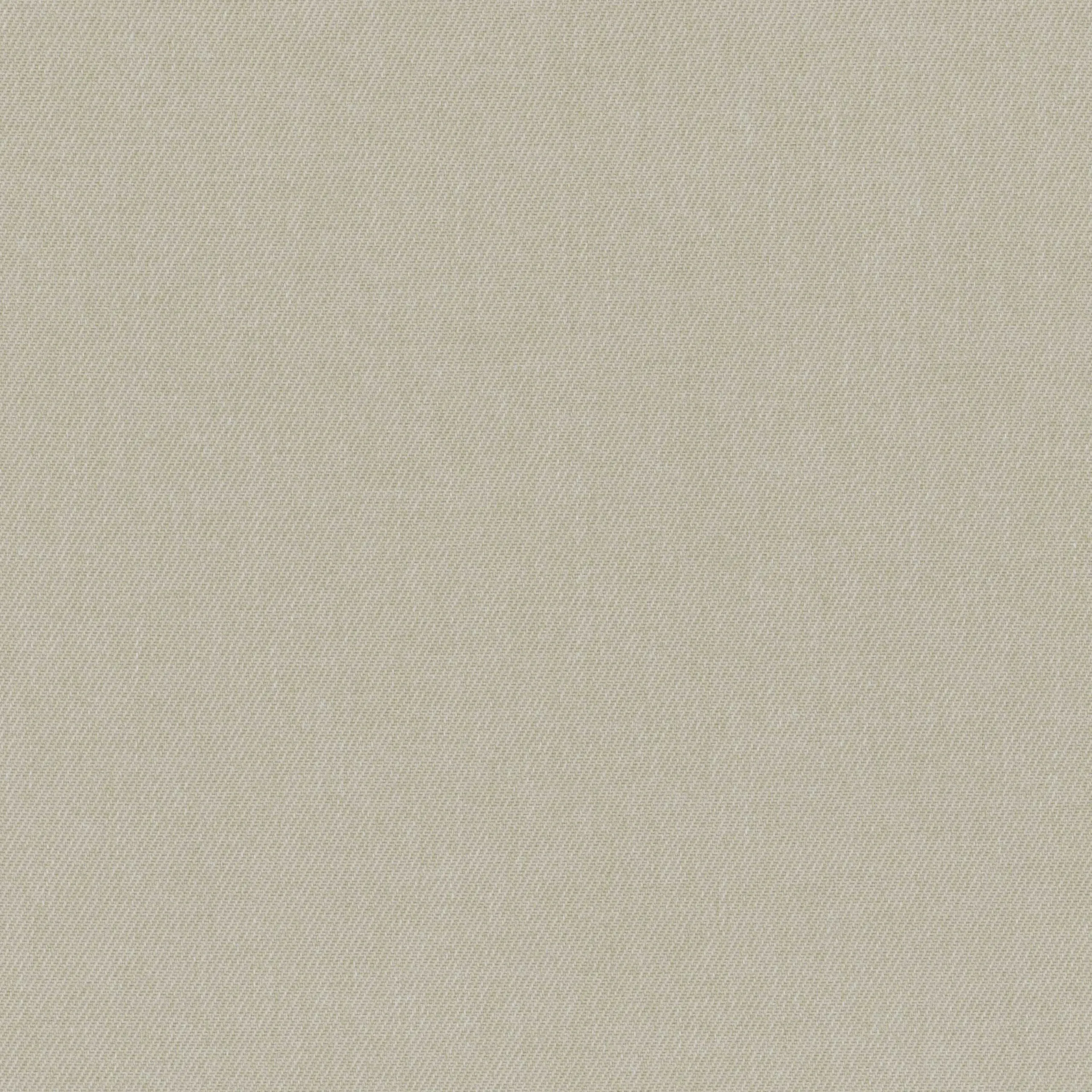 Pumice Stone 02 | Tacora
