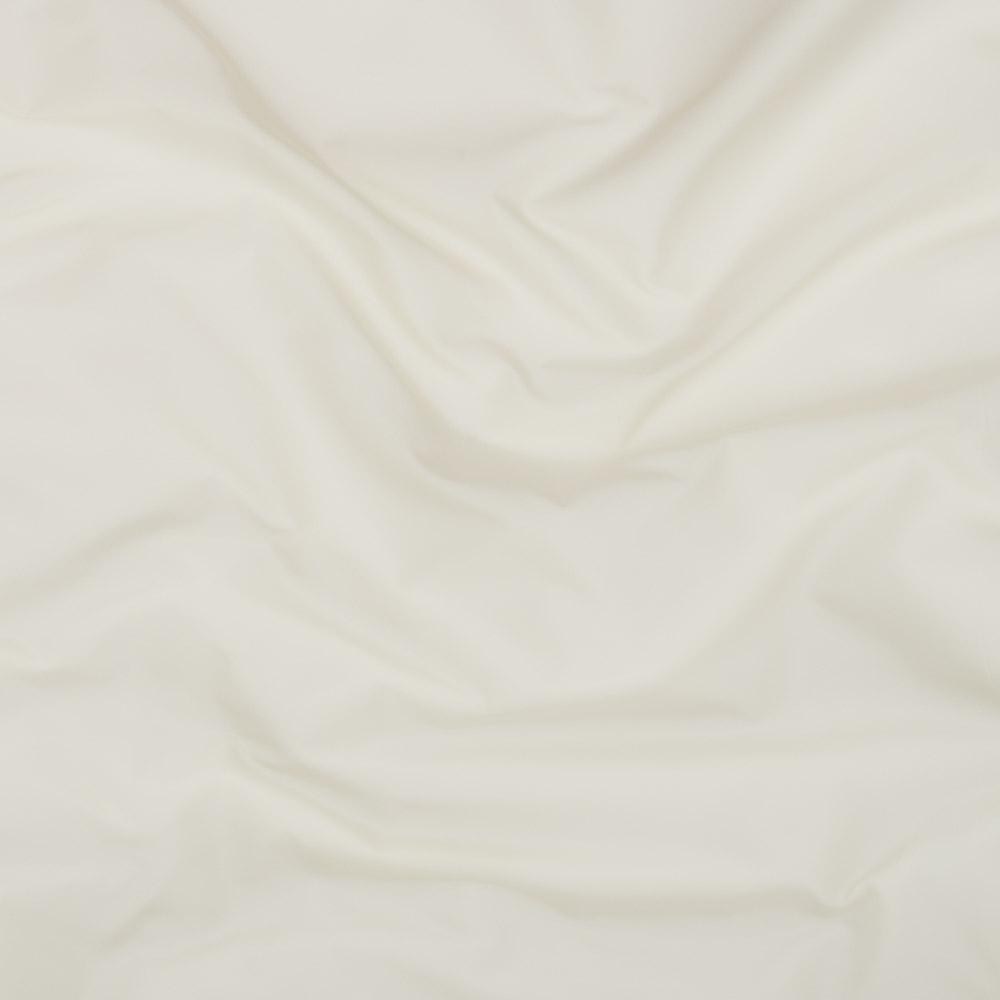 Cannoli Cream 54 | Taffeta