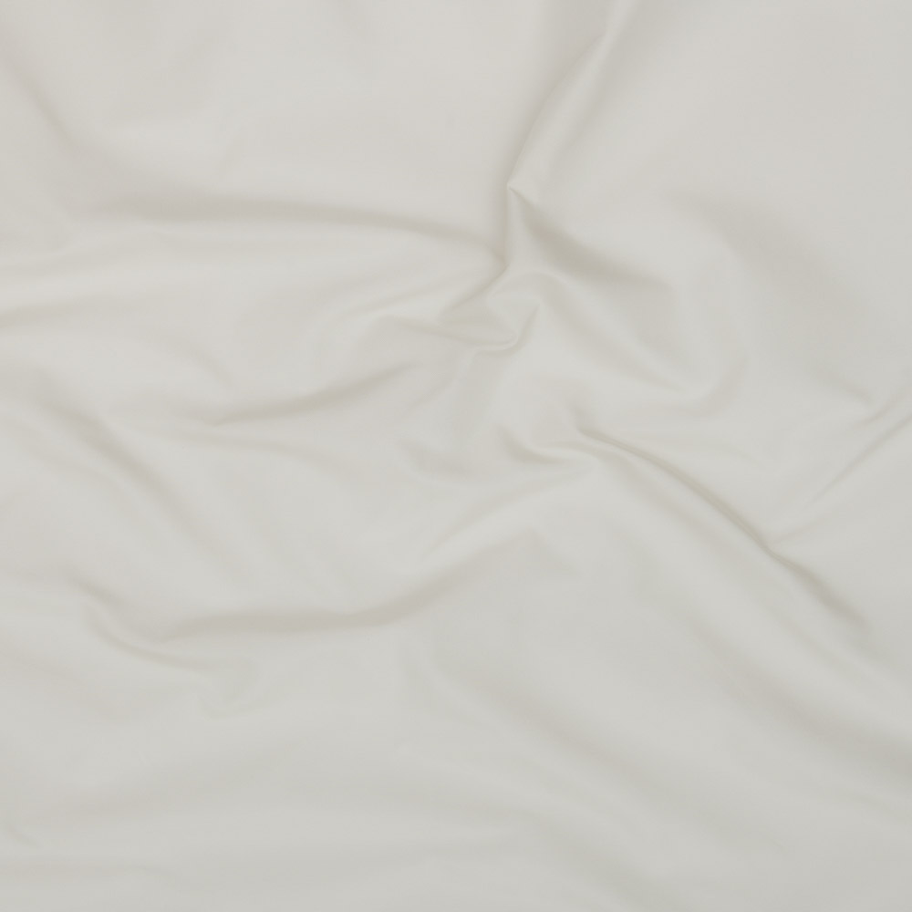Silver Birch 19 | Taffeta