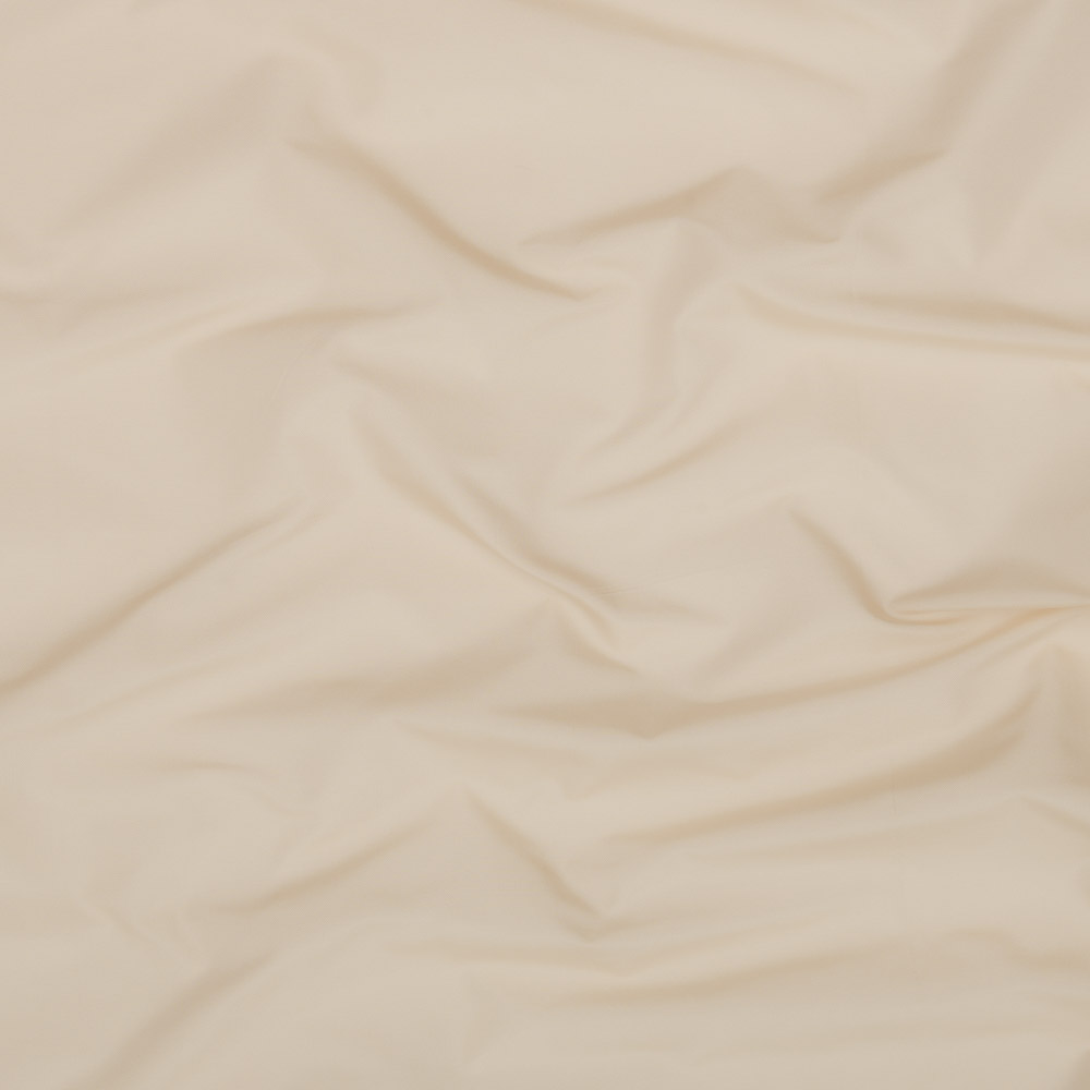 Turtledow 11 | Taffeta