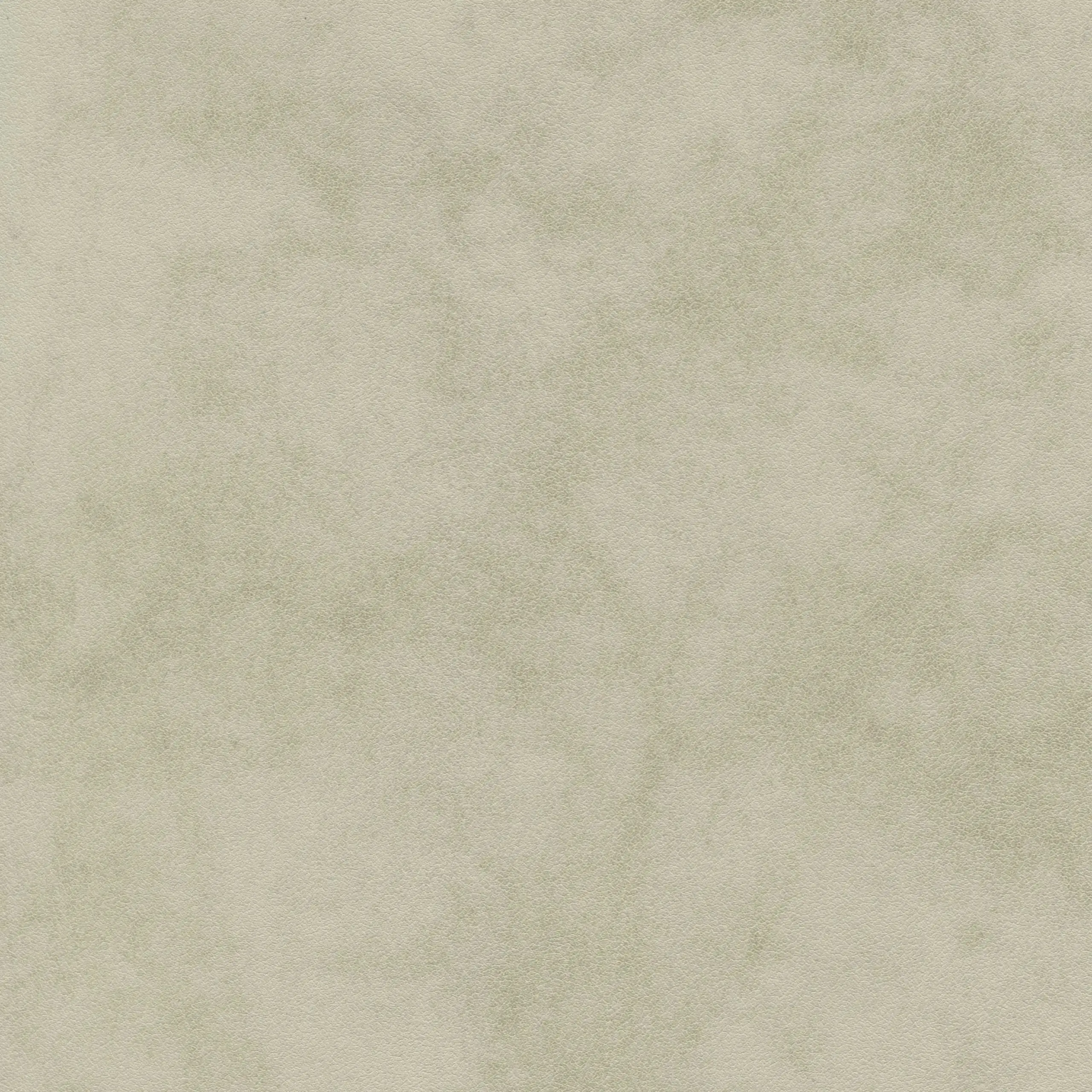 Ancient Scroll 03 | Tanami