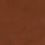 Glazed Ginger 10 | Tanami