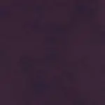 Italian Plum 09 | Tanami