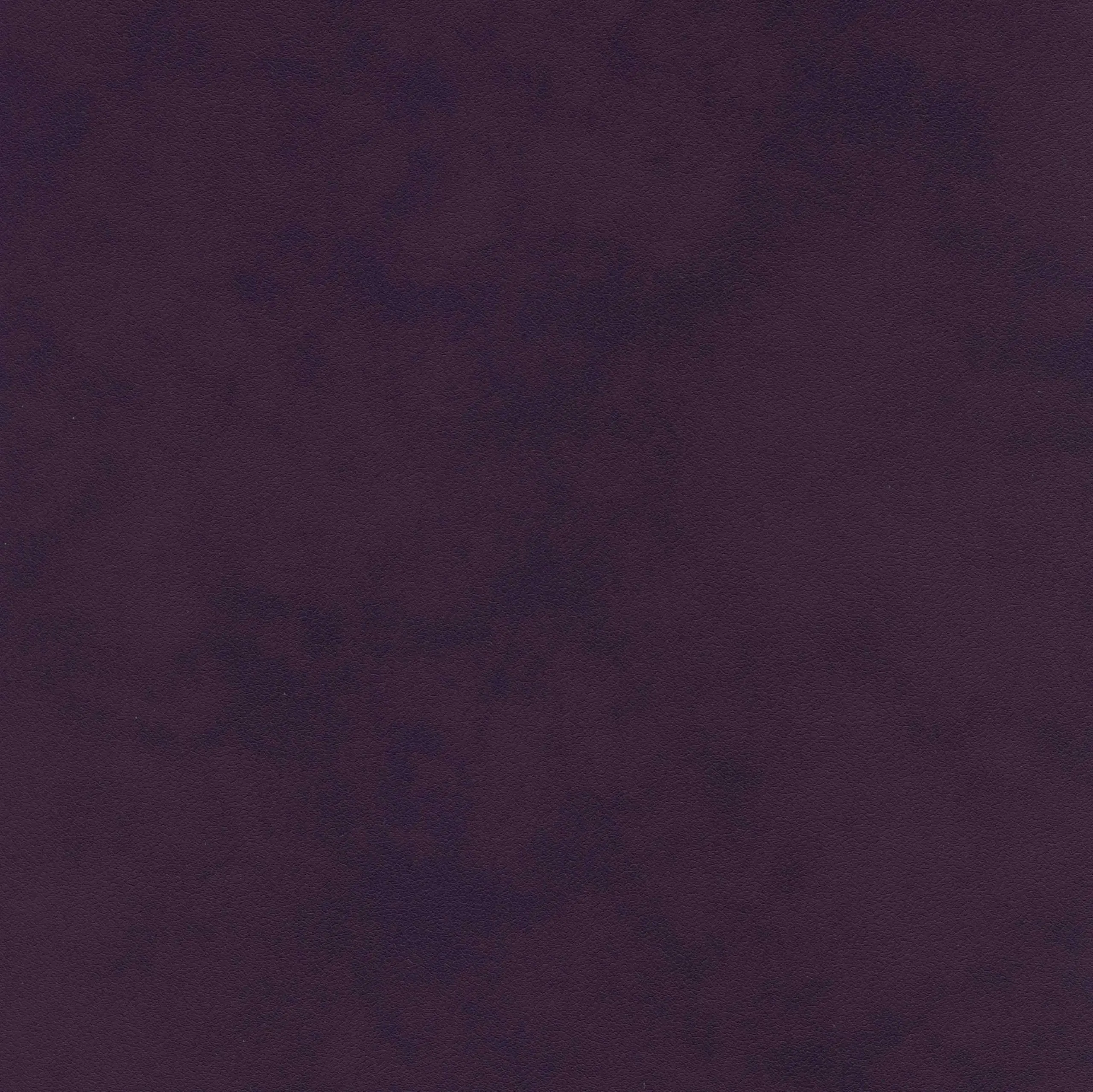 Italian Plum 09 | Tanami
