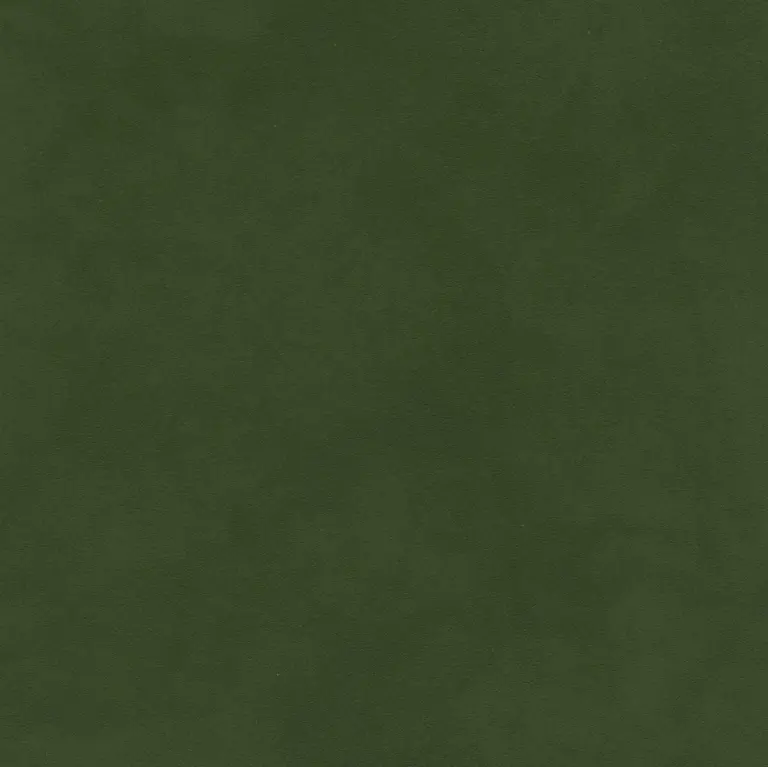 Loden Green 01