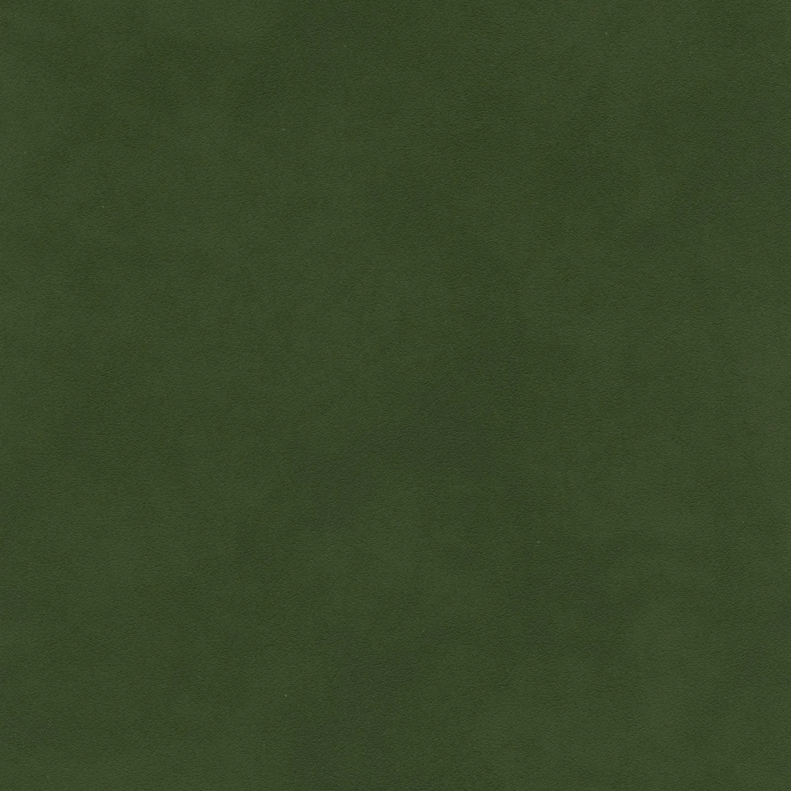 Loden Green 01 | Tanami