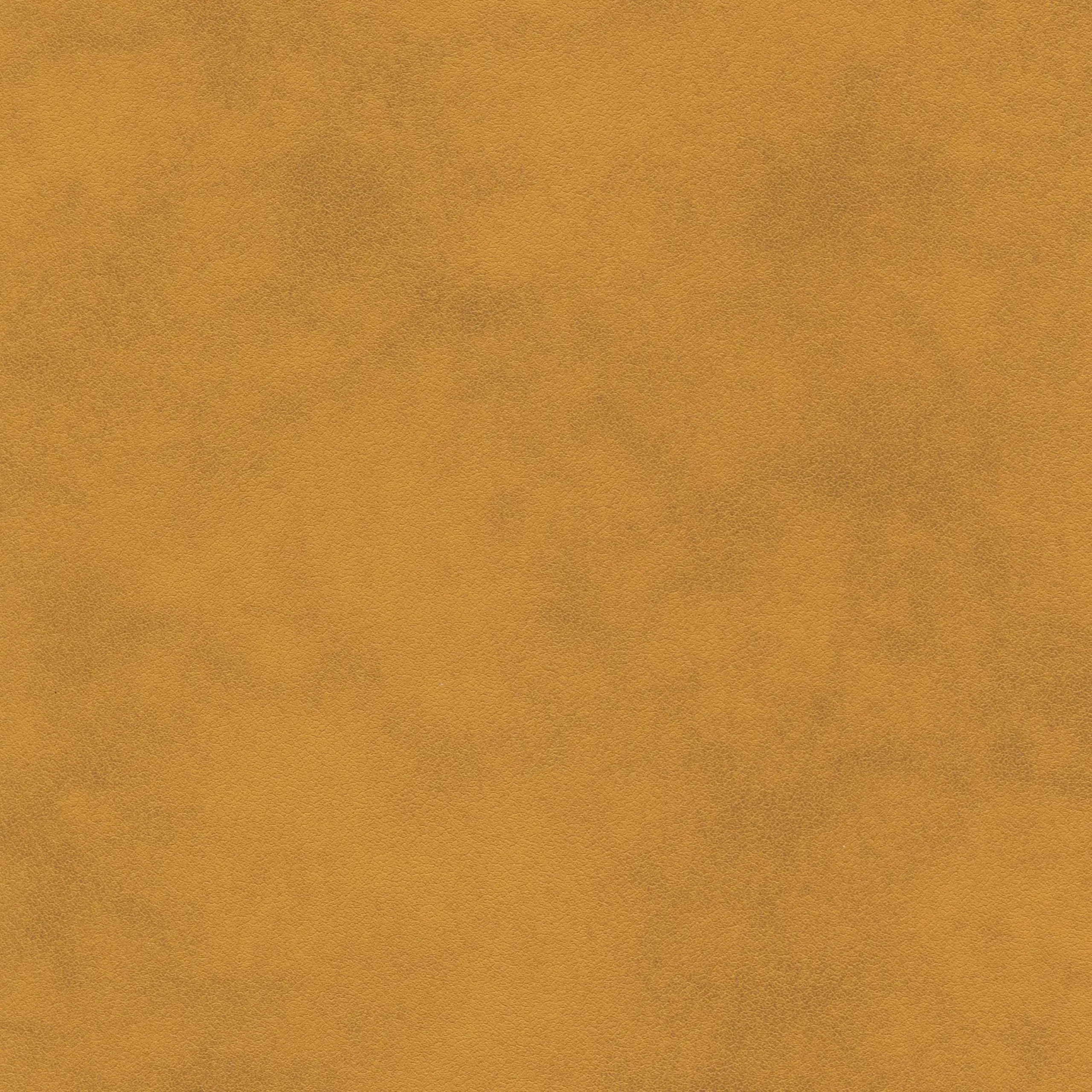 Taffy 04 | Tanami
