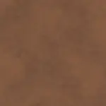Thrush 02 | Tanami