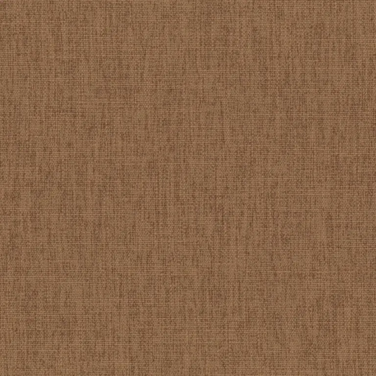 Beaver Fur 26