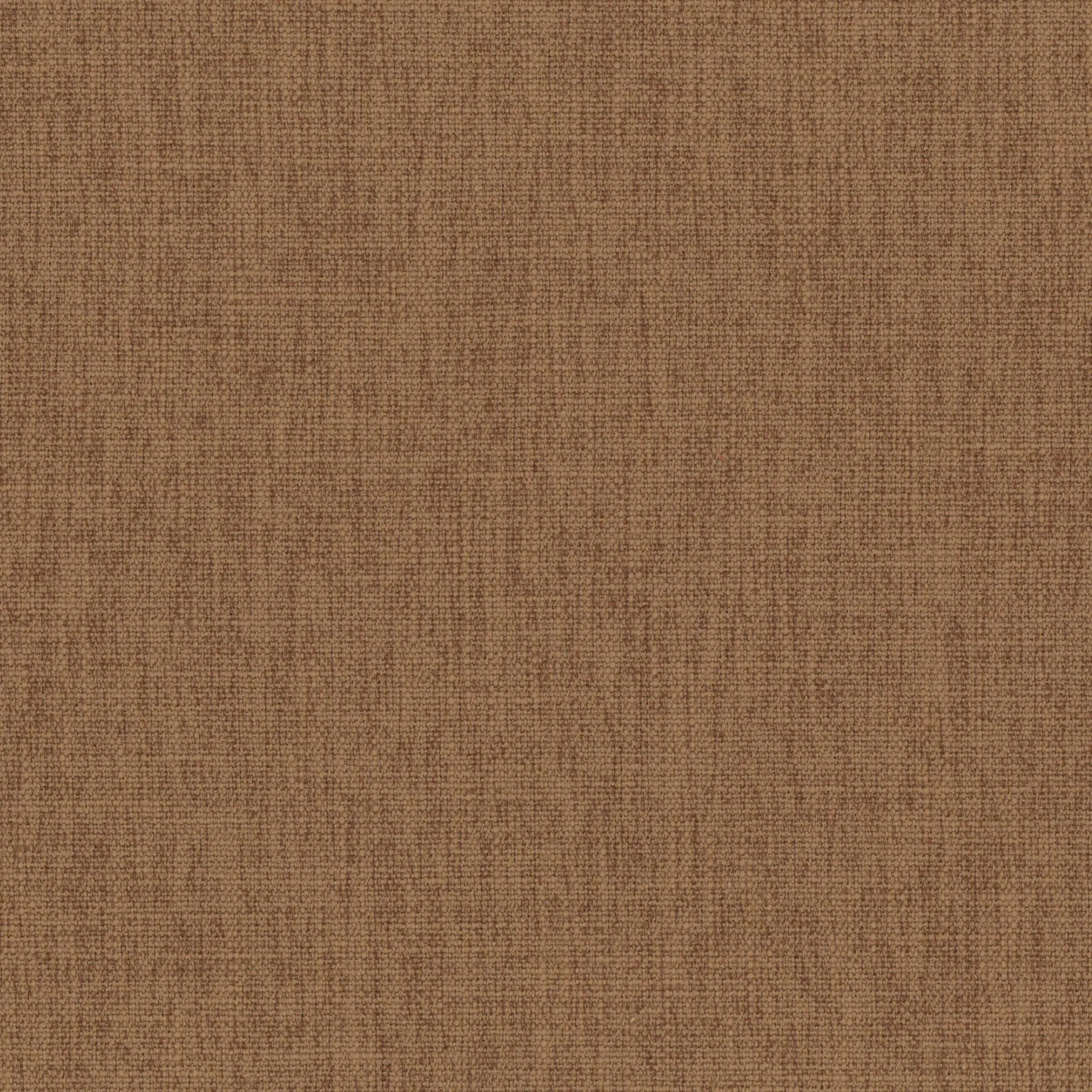 Beaver Fur 26 | Teide