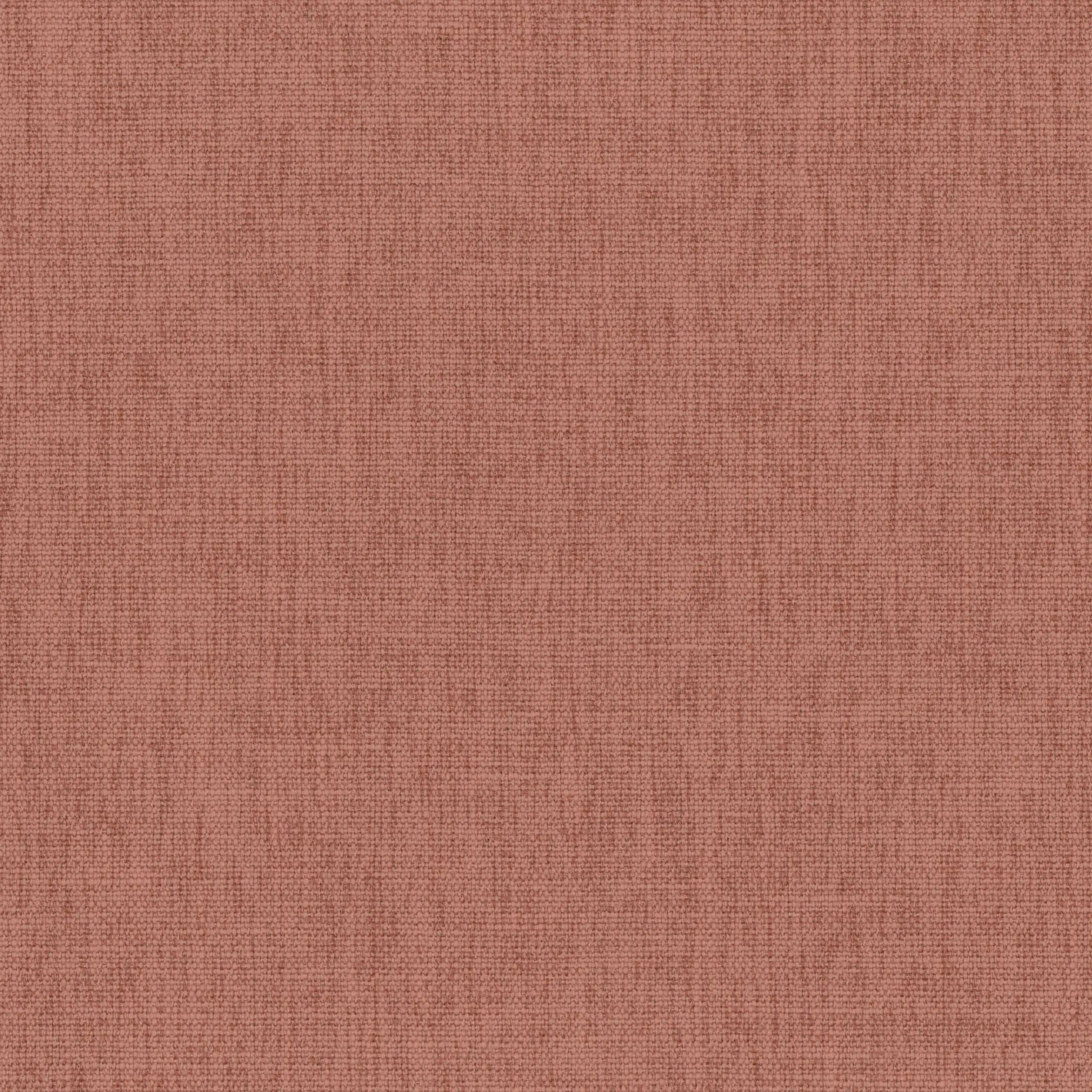 Cedar Wood 29 | Teide