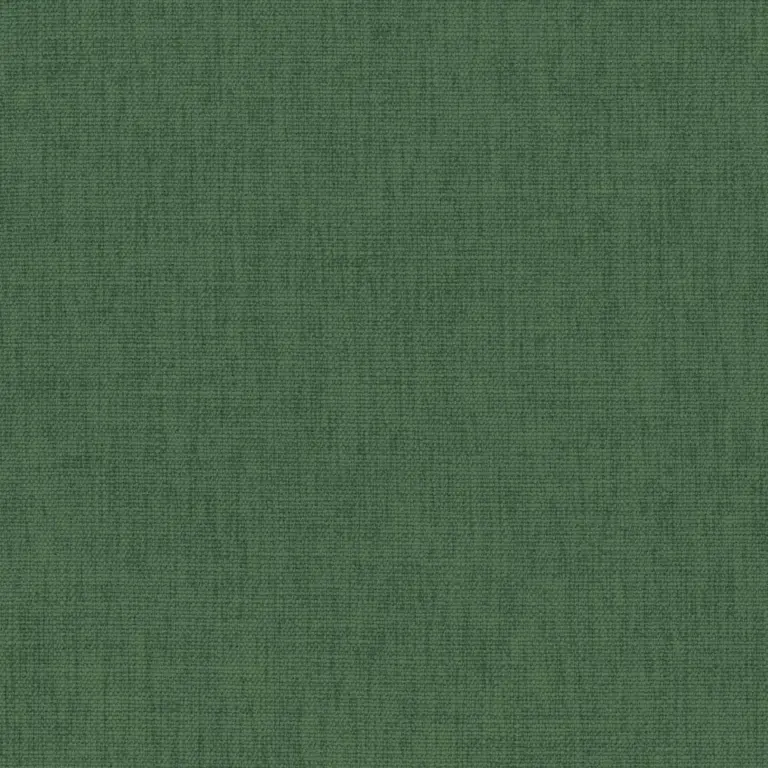 Duck Green 43