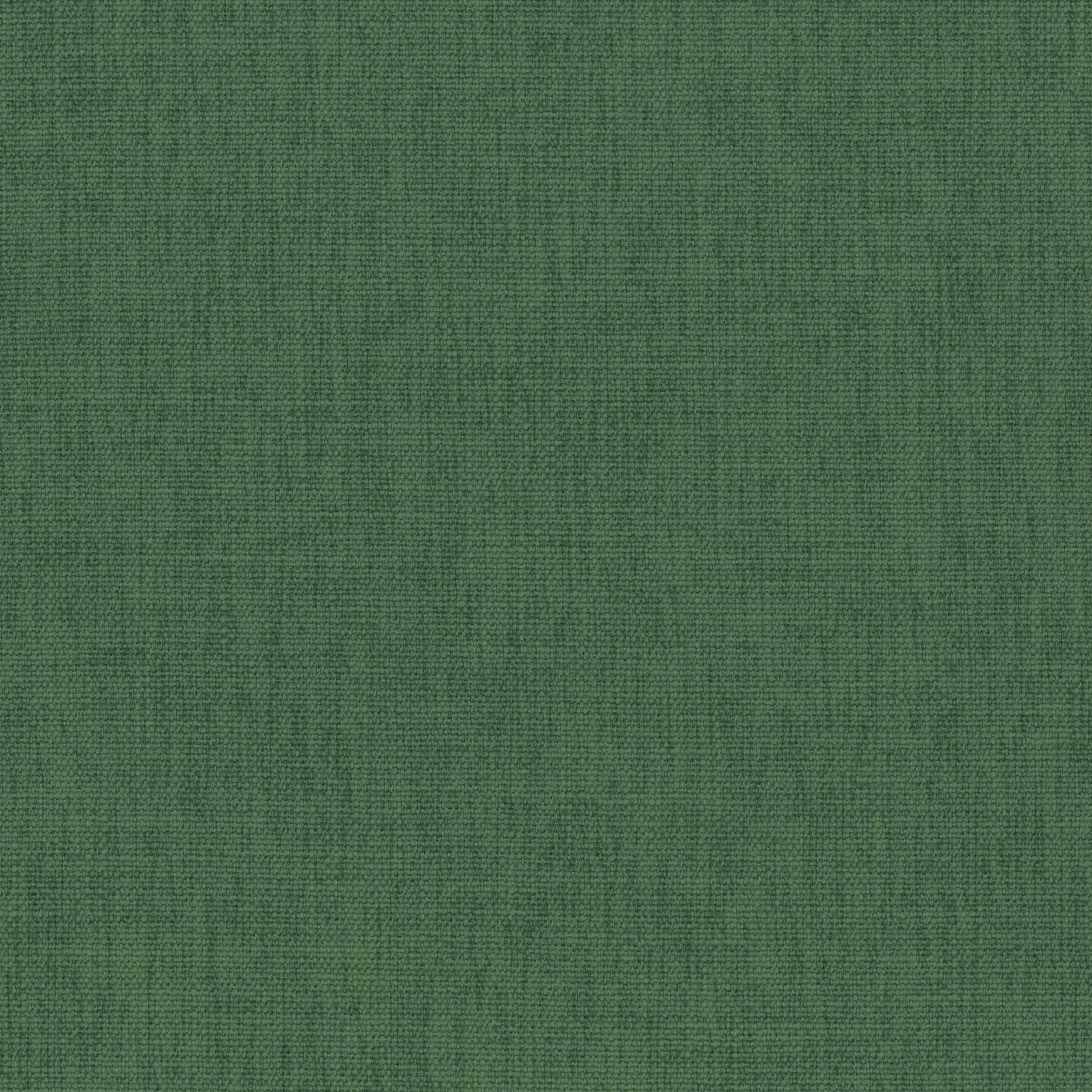 Duck Green 43 | Teide