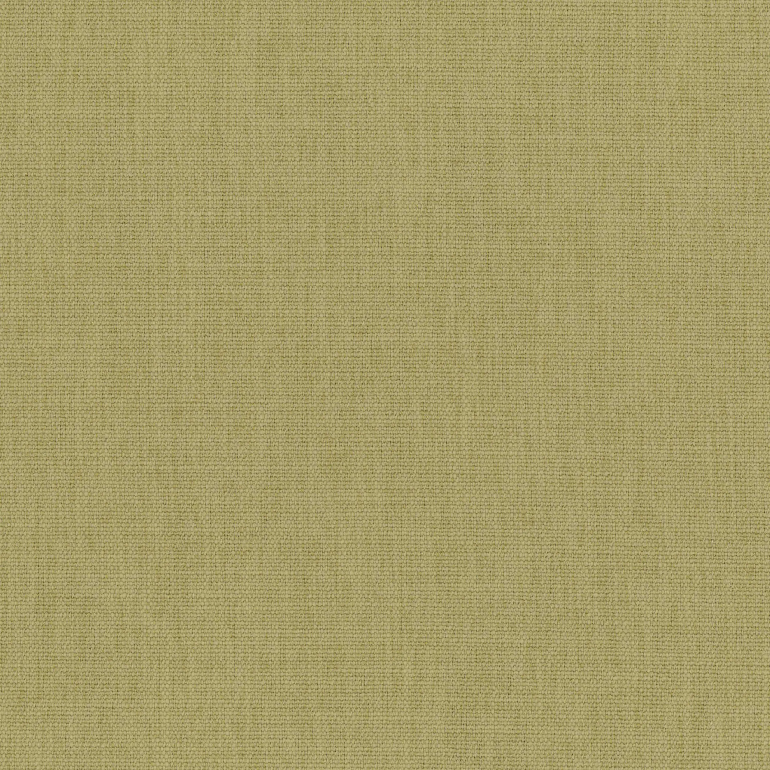 Gray Green 40 | Teide