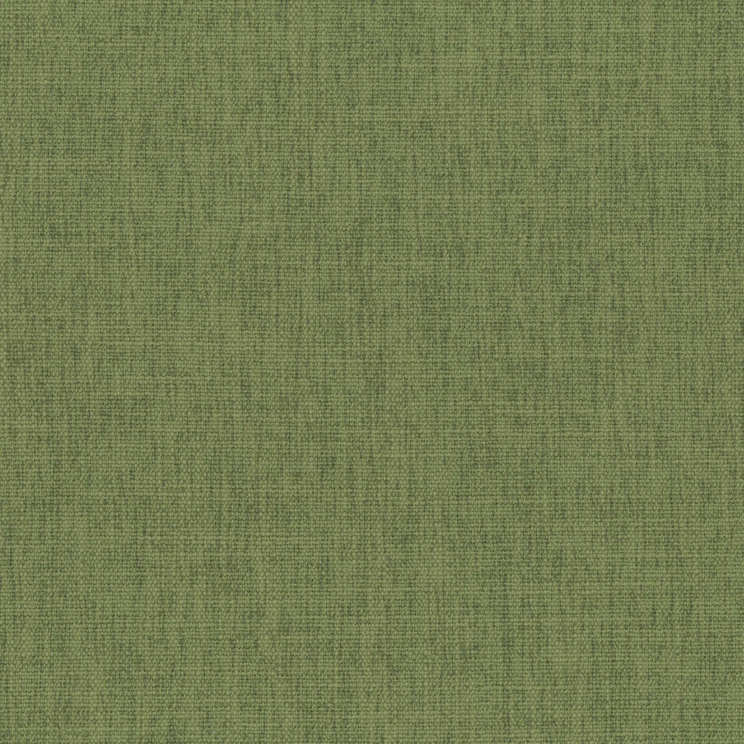 Oil Green 42 | Teide