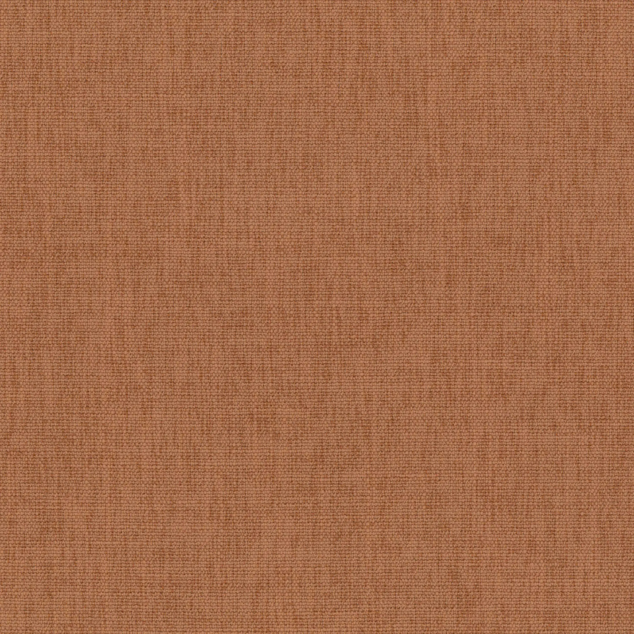 Russet 27 | Teide
