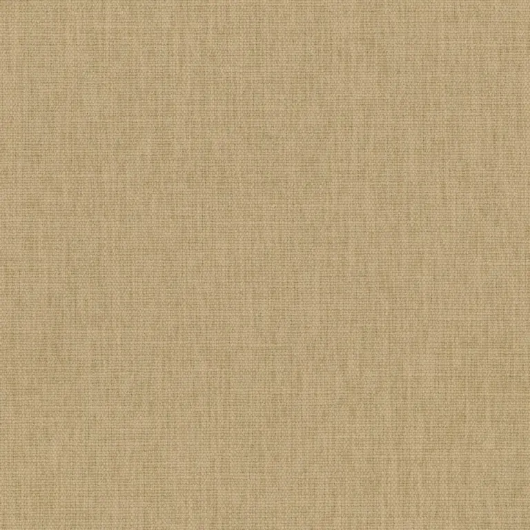 Safari 21