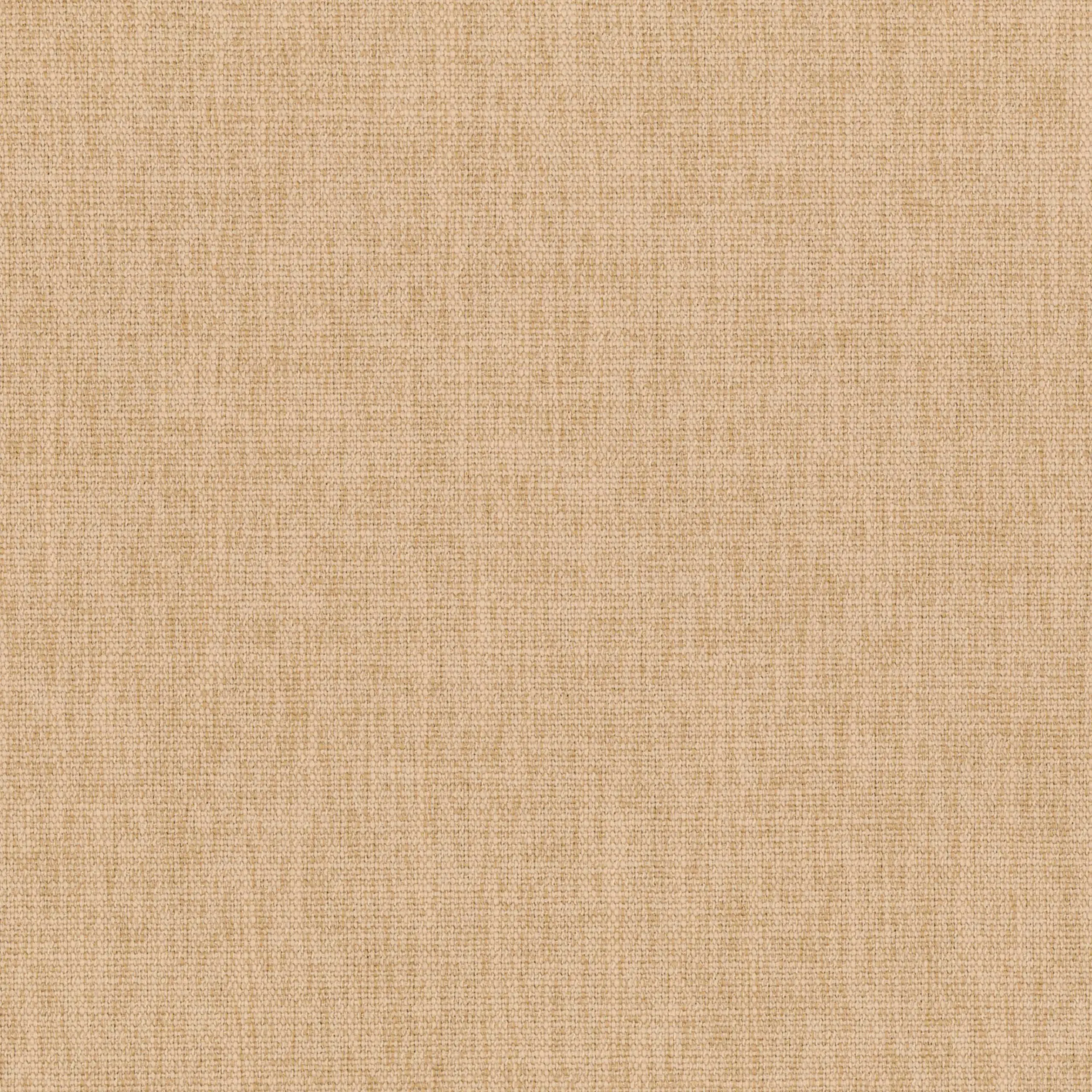 Toasted Almond 24 | Teide