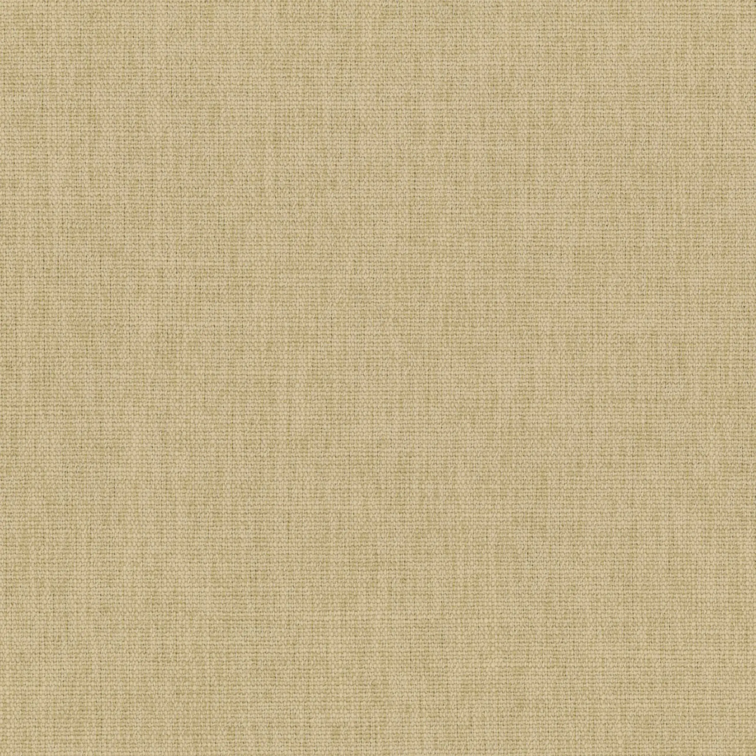 White Pepper 09 | Teide