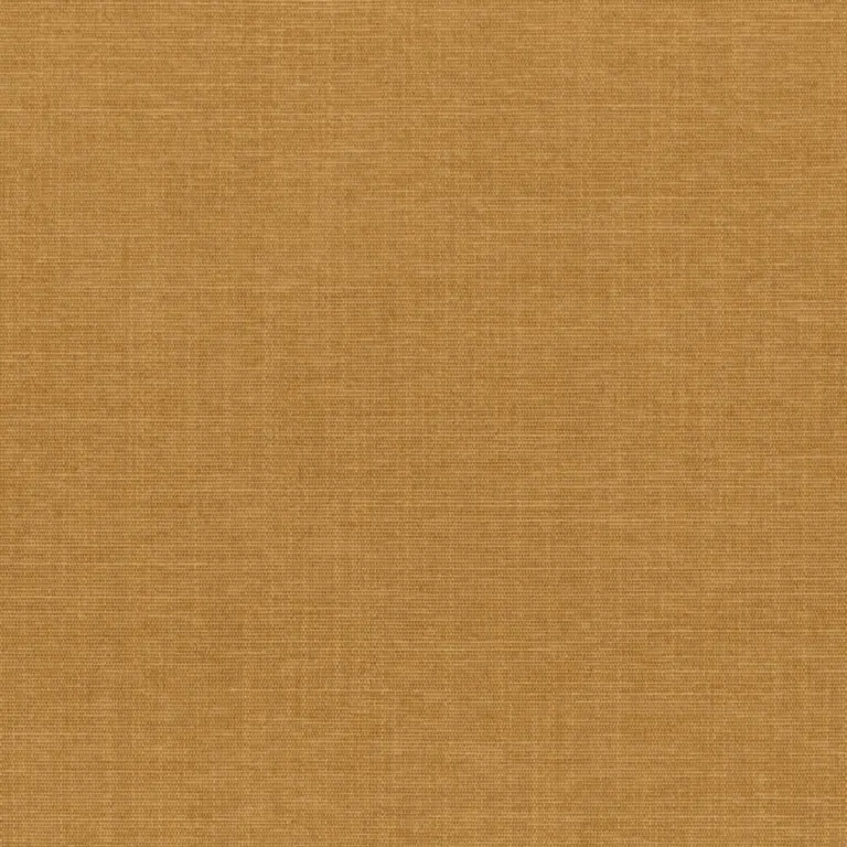 Biscuit 94