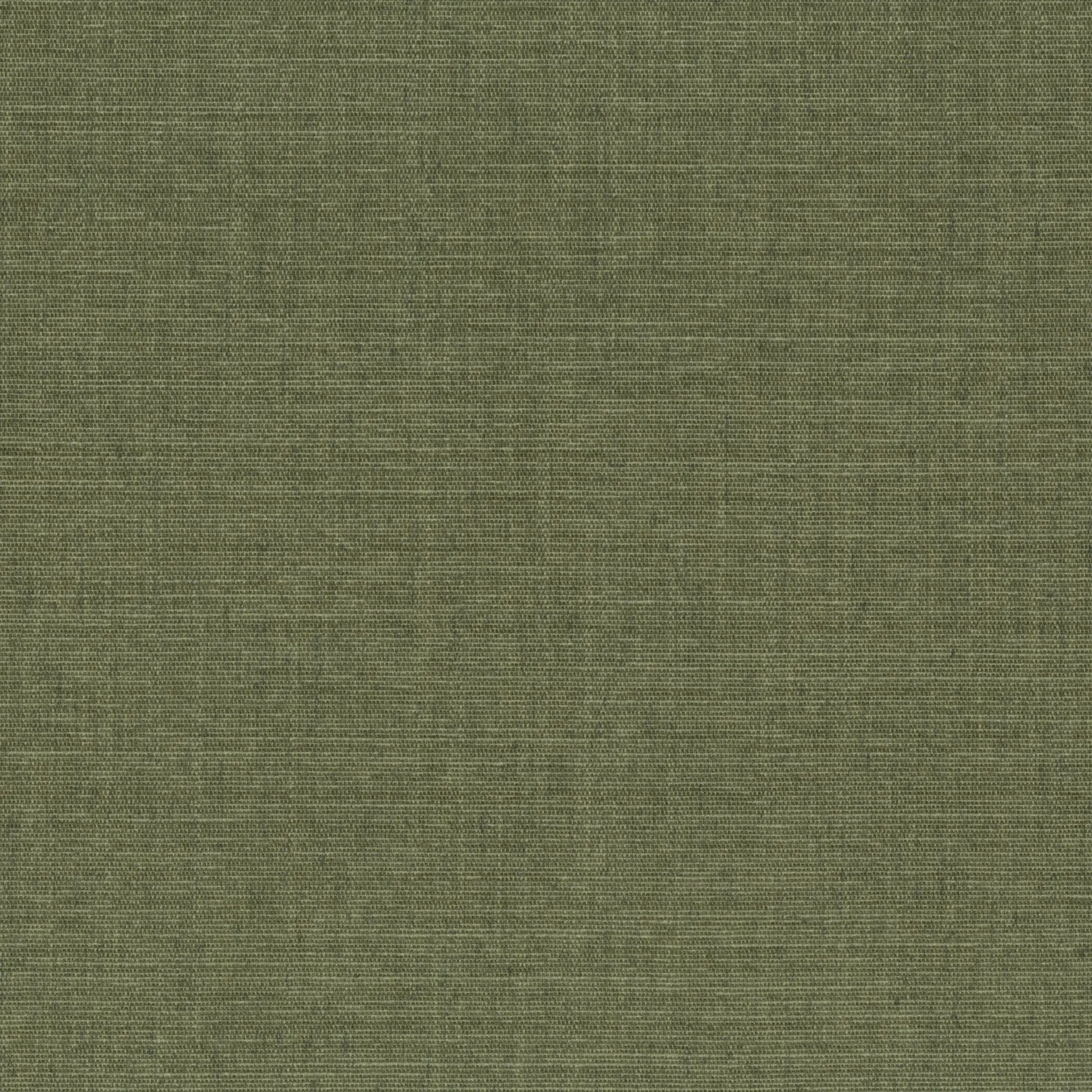 Olive Drab 06 | Terra