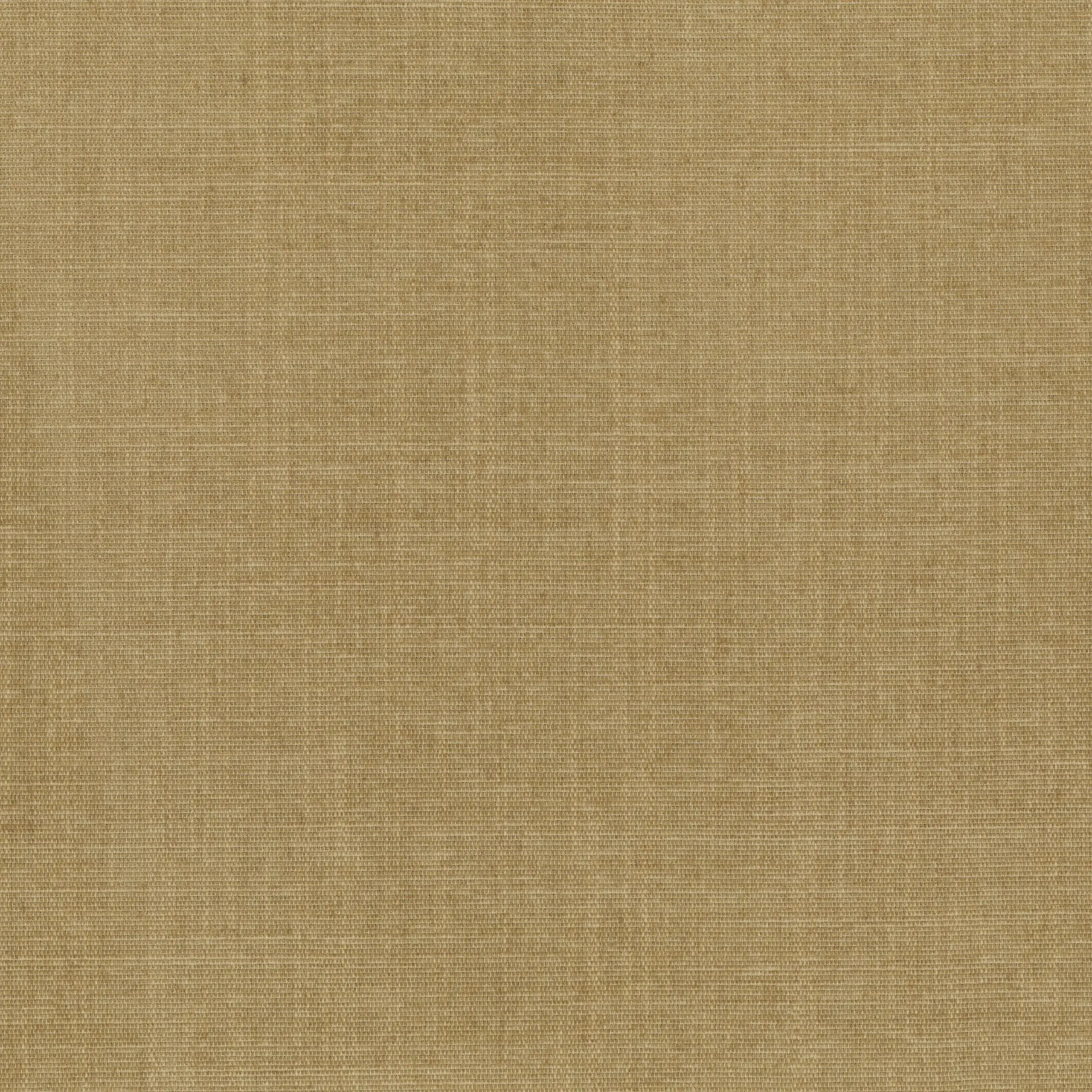 Prairie Sand 91 | Terra