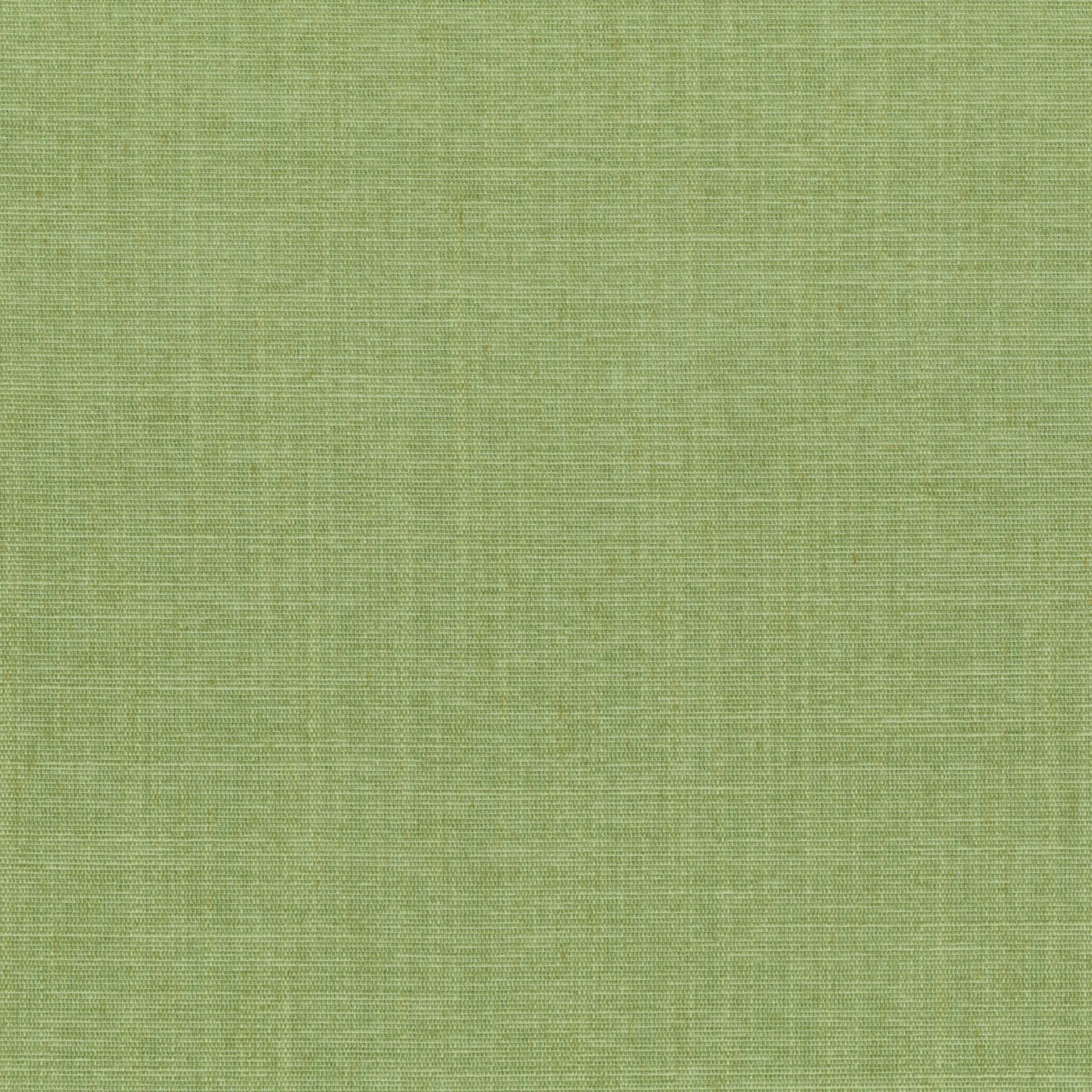 Tendril 59 | Terra