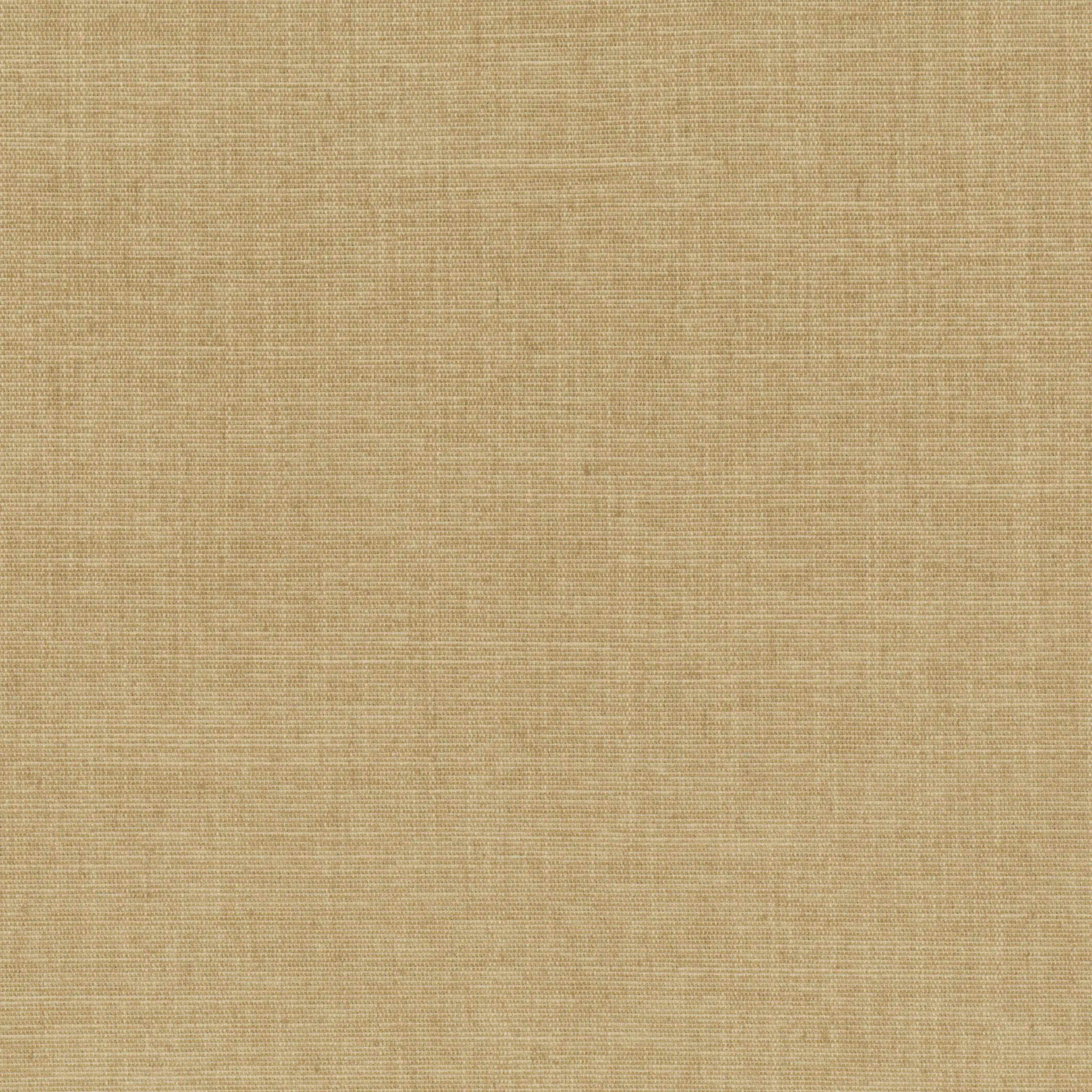 Travertine 79 | Terra