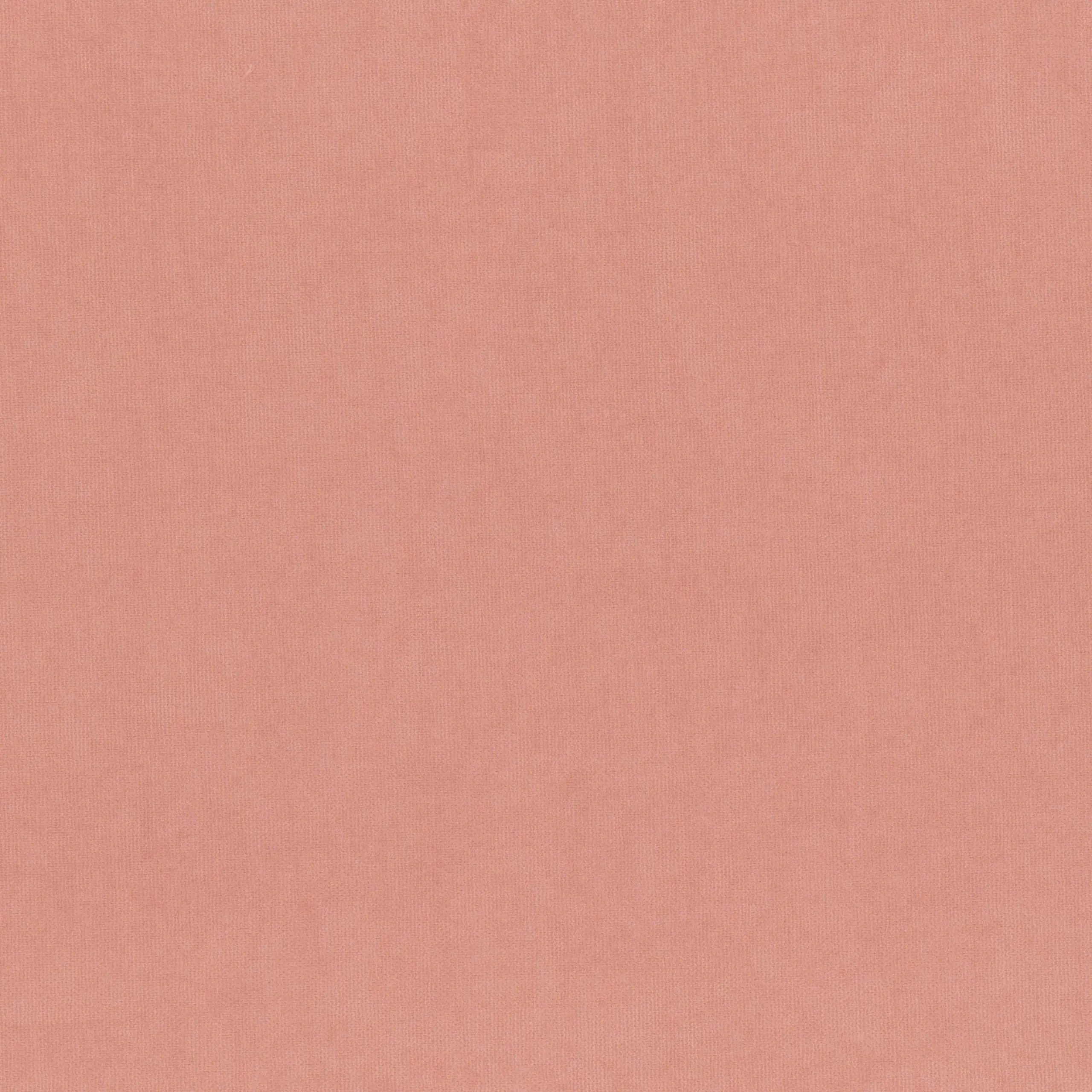 Bridal Rose 213 | Toudor
