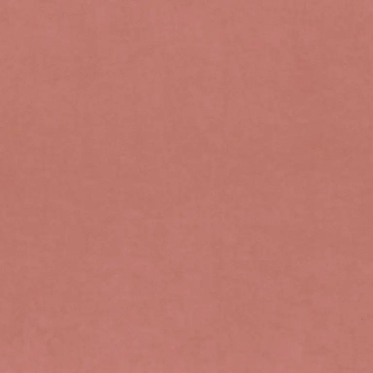 Dusty Rose 910