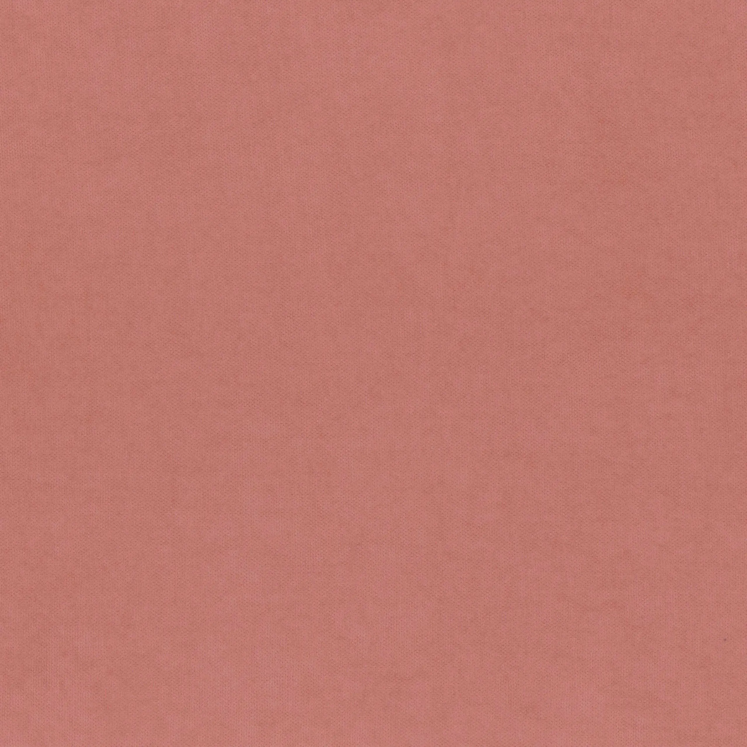 Dusty Rose 910 | Toudor