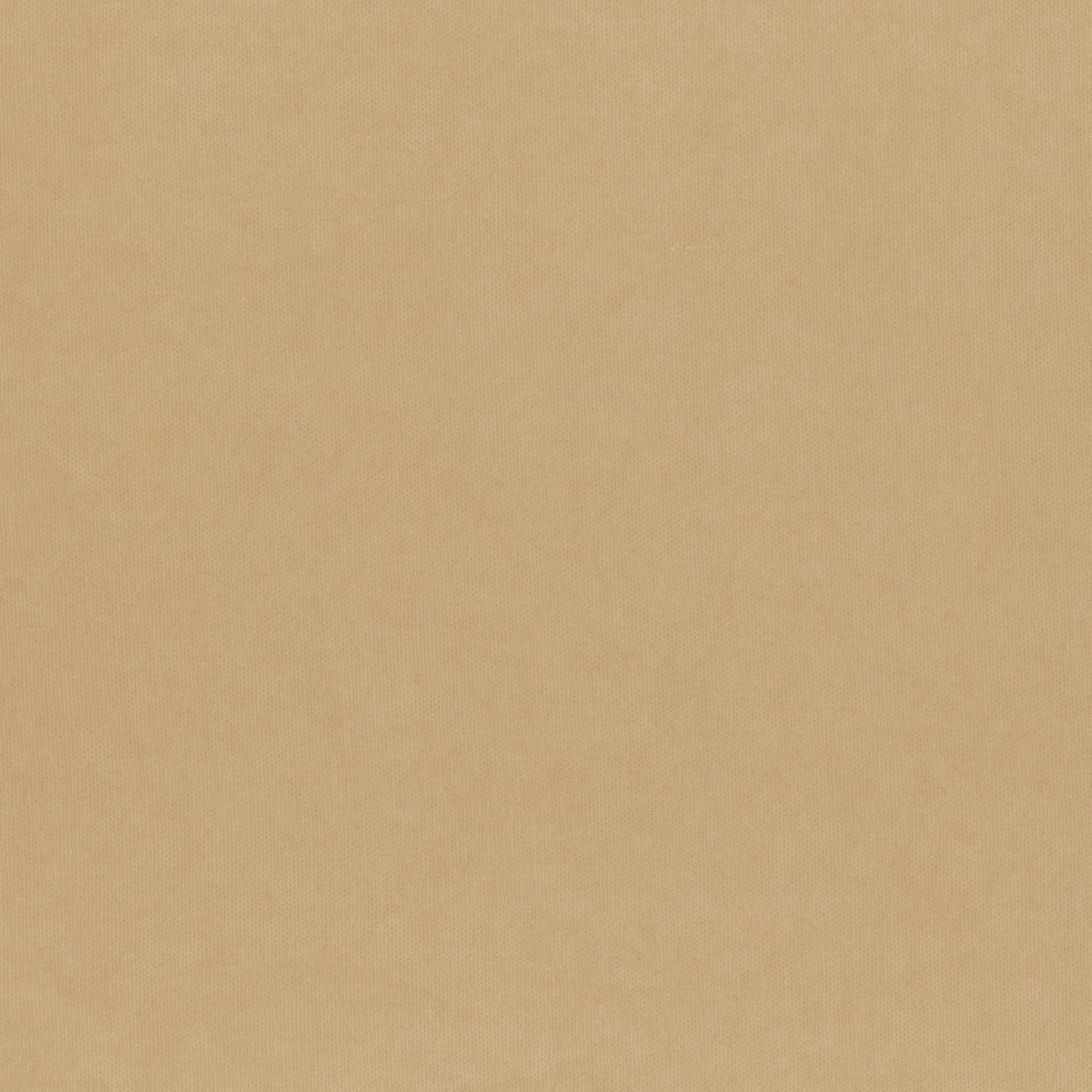 Fog 905 | Toudor