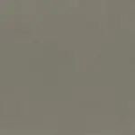 Frost Gray 931 | Toudor