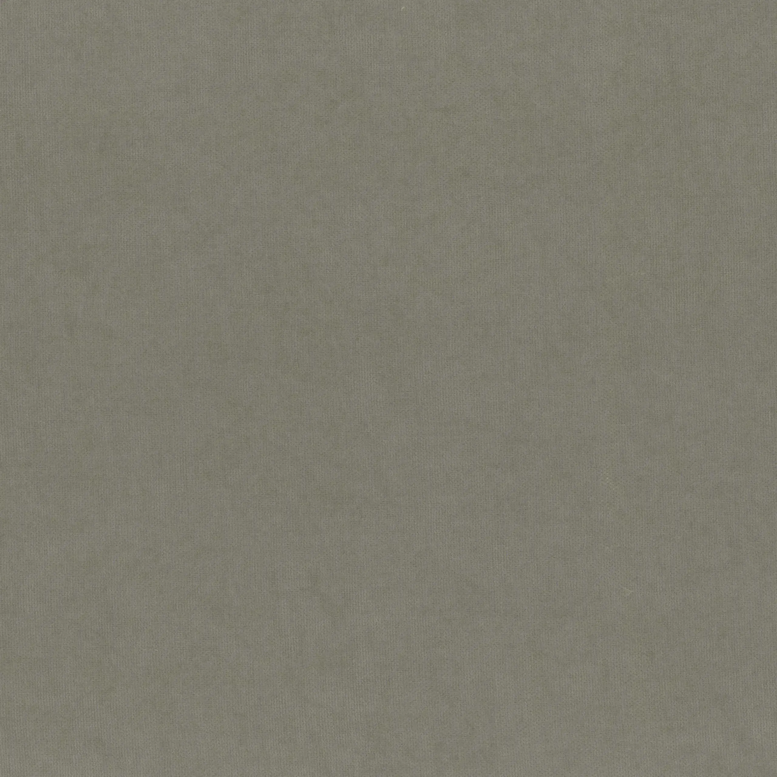 Frost Gray 931 | Toudor