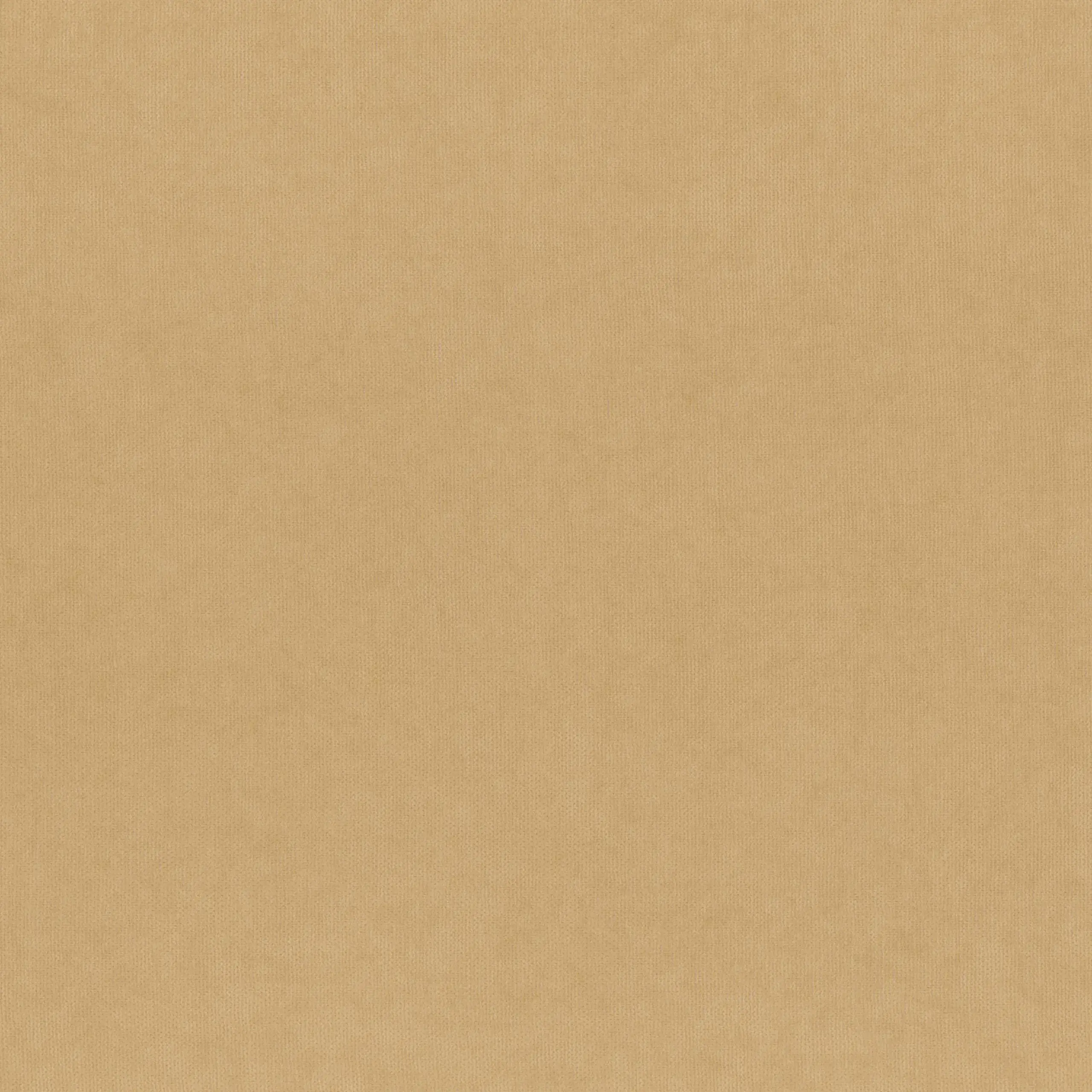 Ginger Root 915 | Toudor