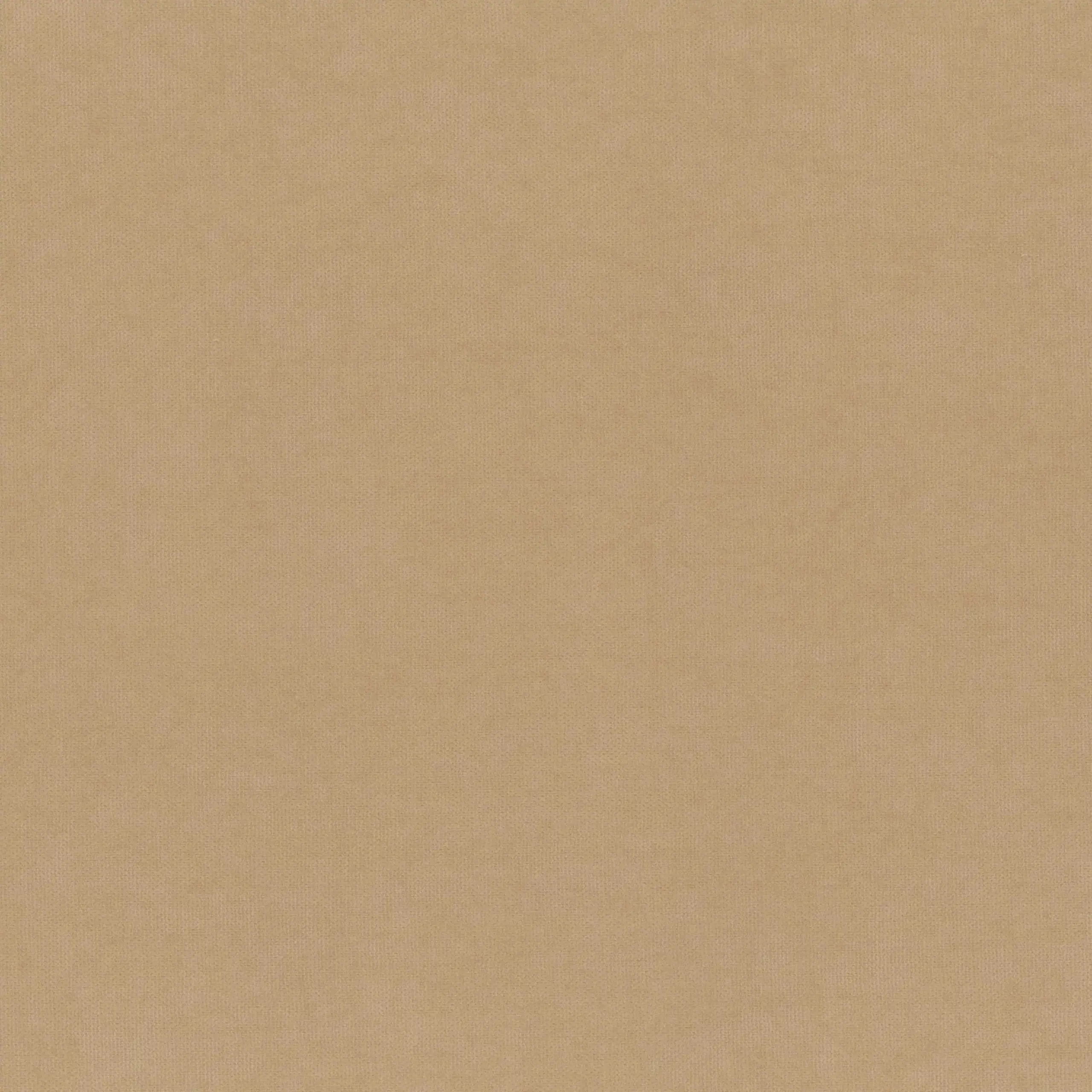 Goat 211 | Toudor