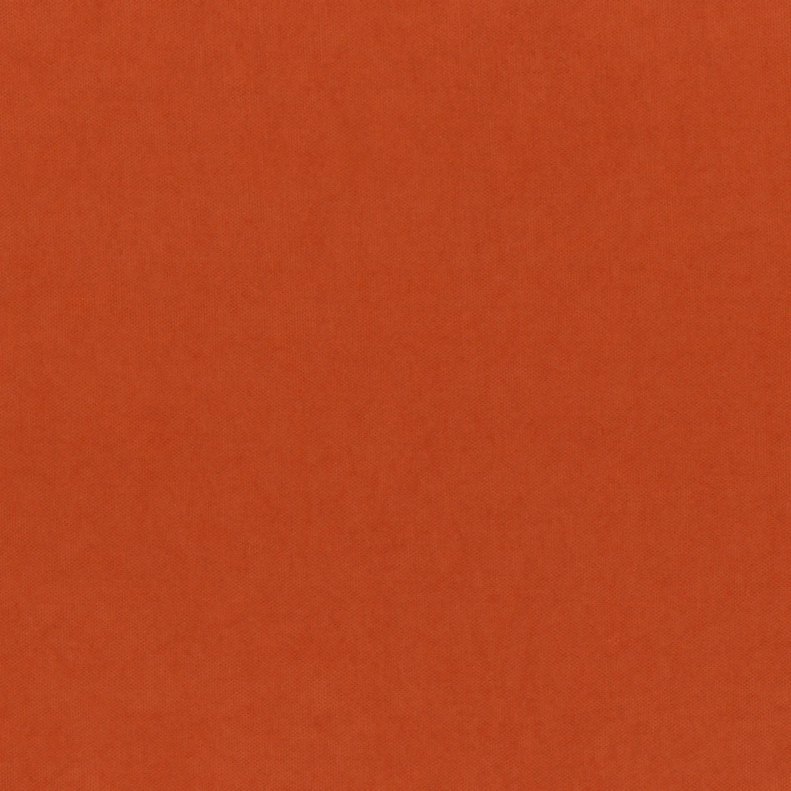 Gold Flame 107 | Toudor