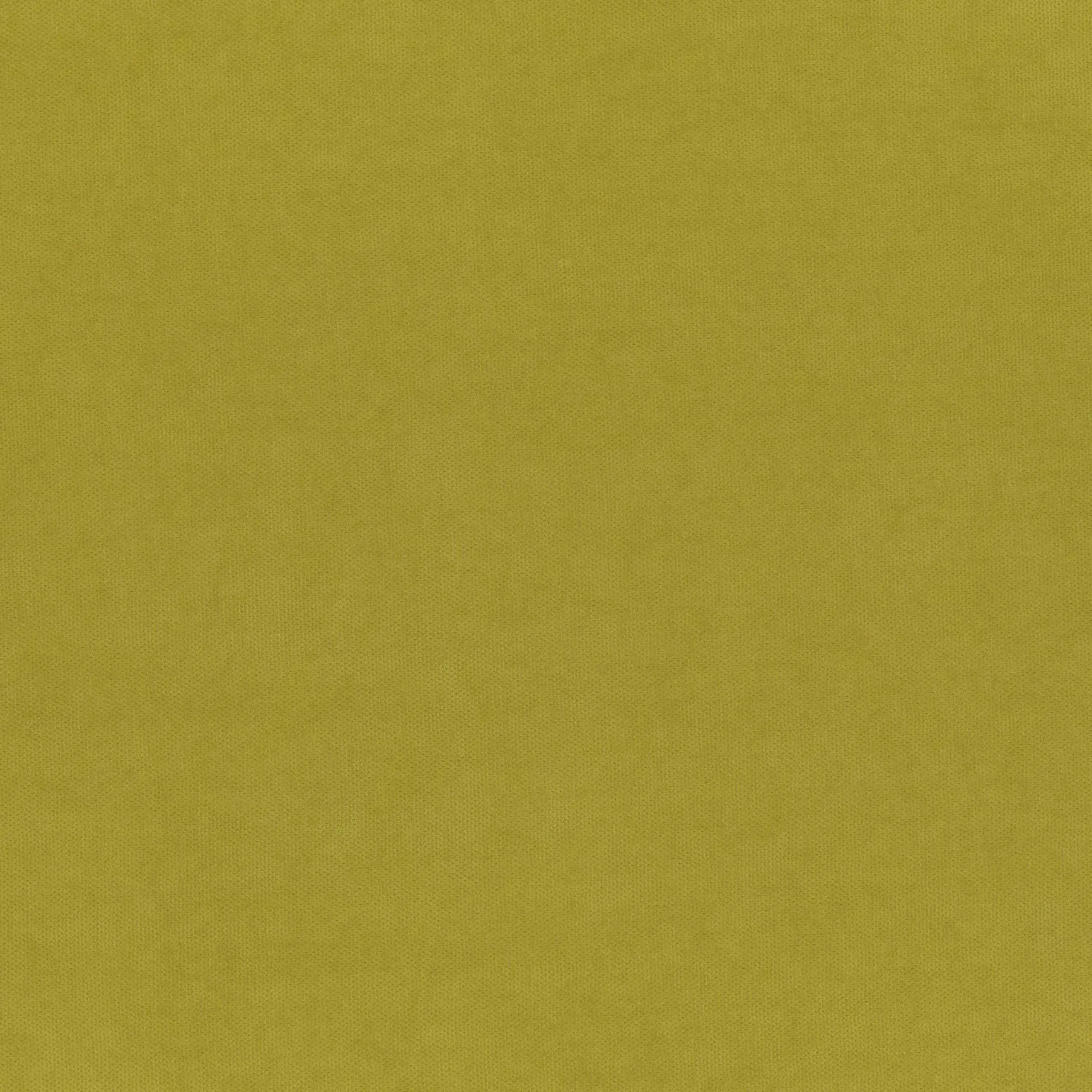Golden Lime 370 | Toudor