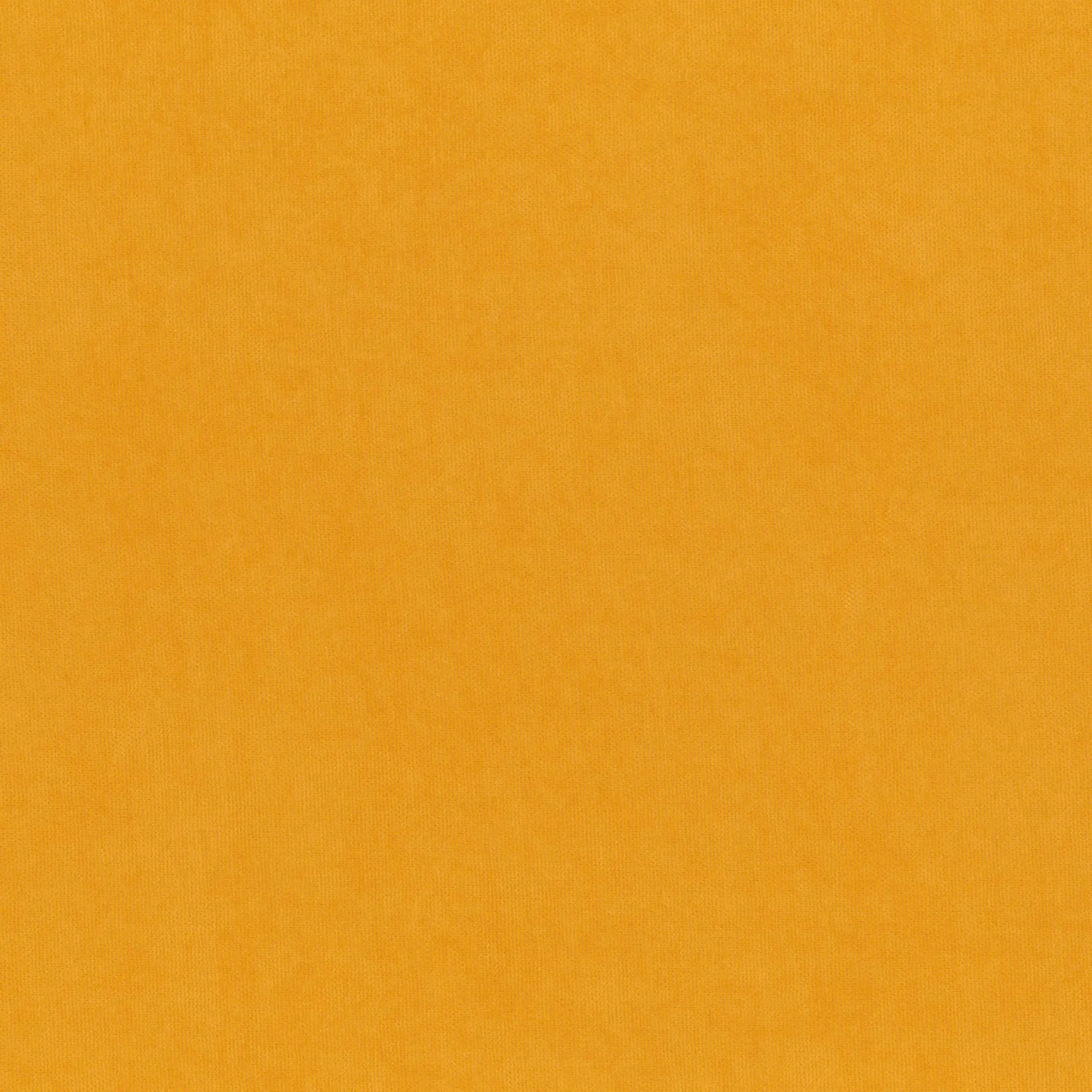 Golden Rod 344 | Toudor